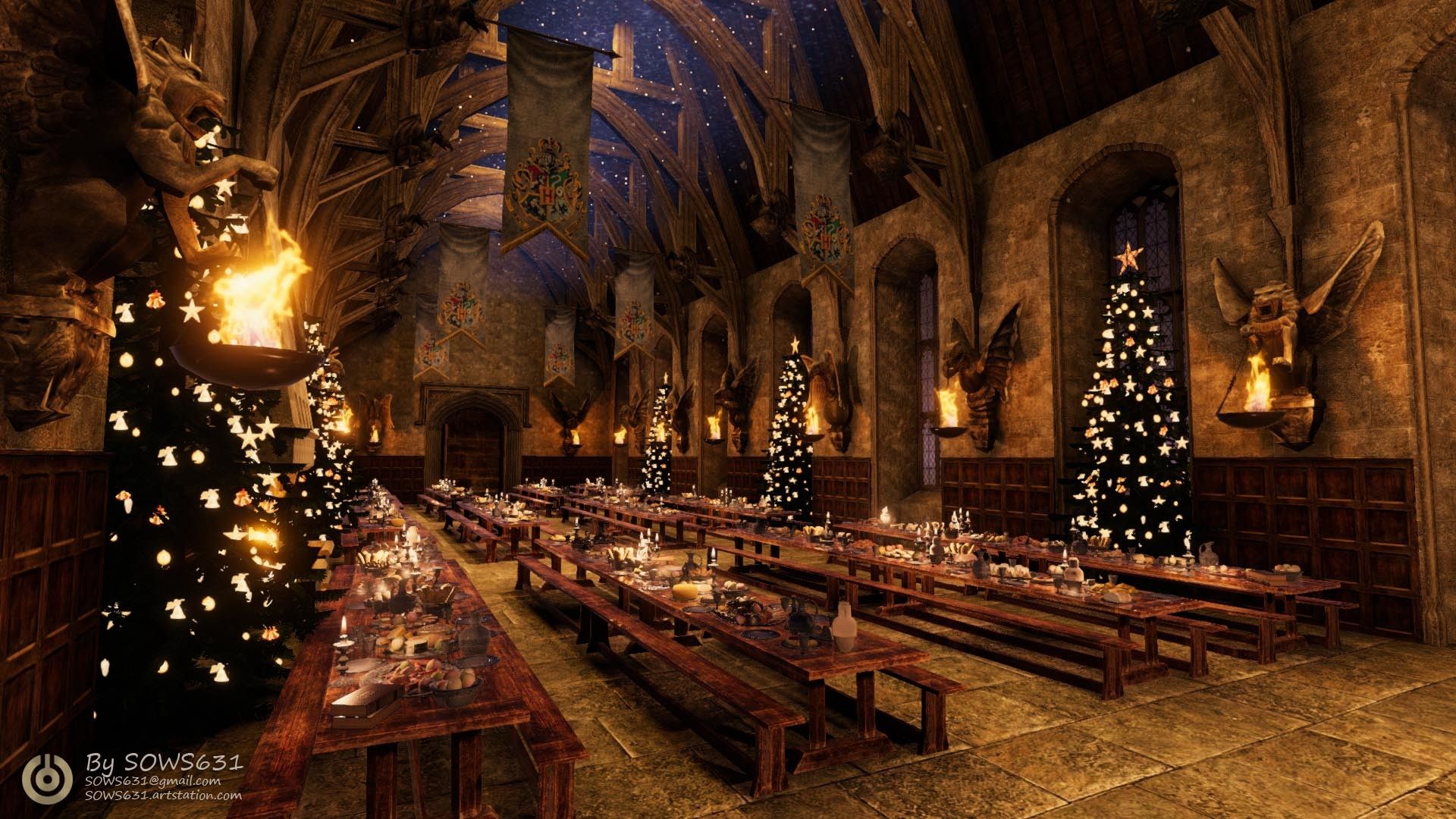 Castello Hogwarts notte magica, 1439x2456 Full HD Verticale, iPhone