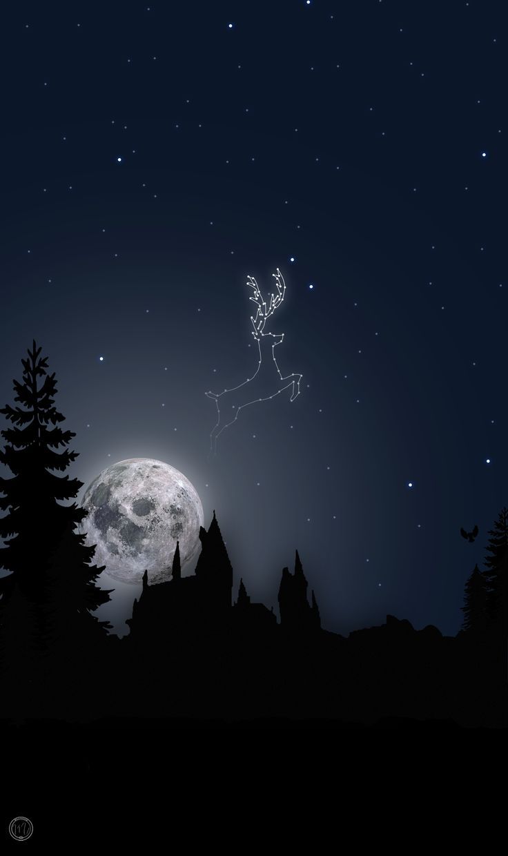 Hogwarts silhouette luna cervo Patronus, scuola di magia, 736x1240 Verticale, Mobile
