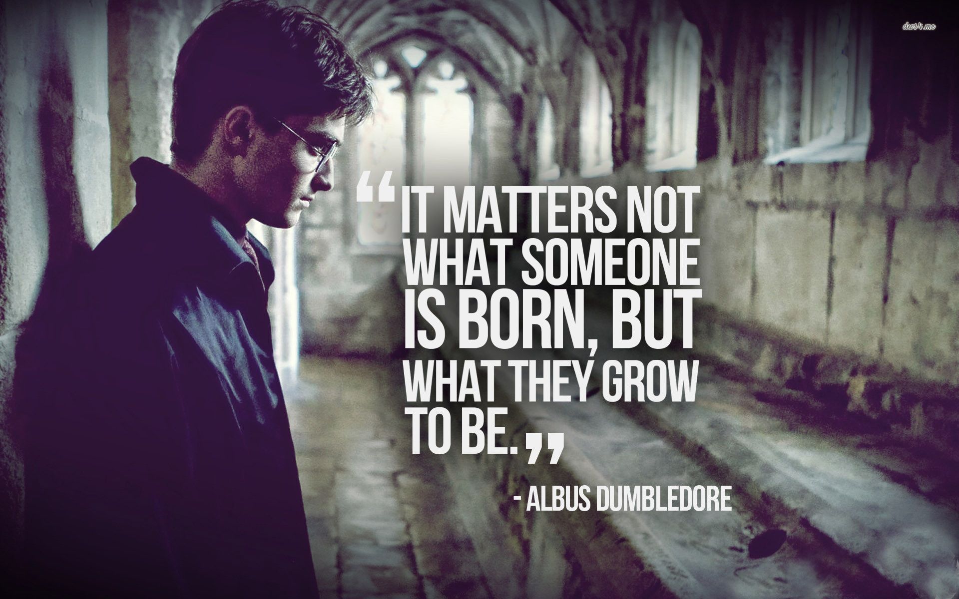 Citazione Rupert Grint Harry Potter, 3840x2160 4K Ultra HD, Monitor 4K