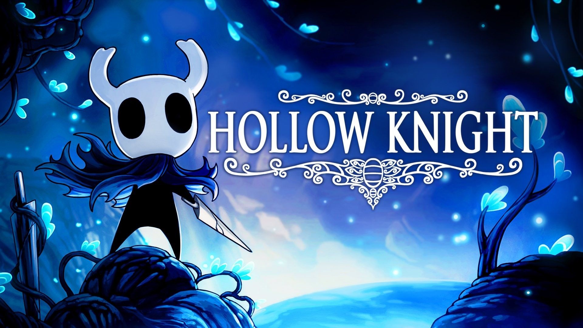 Hollow Knight cavaliere blu, 1920x1080 Full HD, Laptop