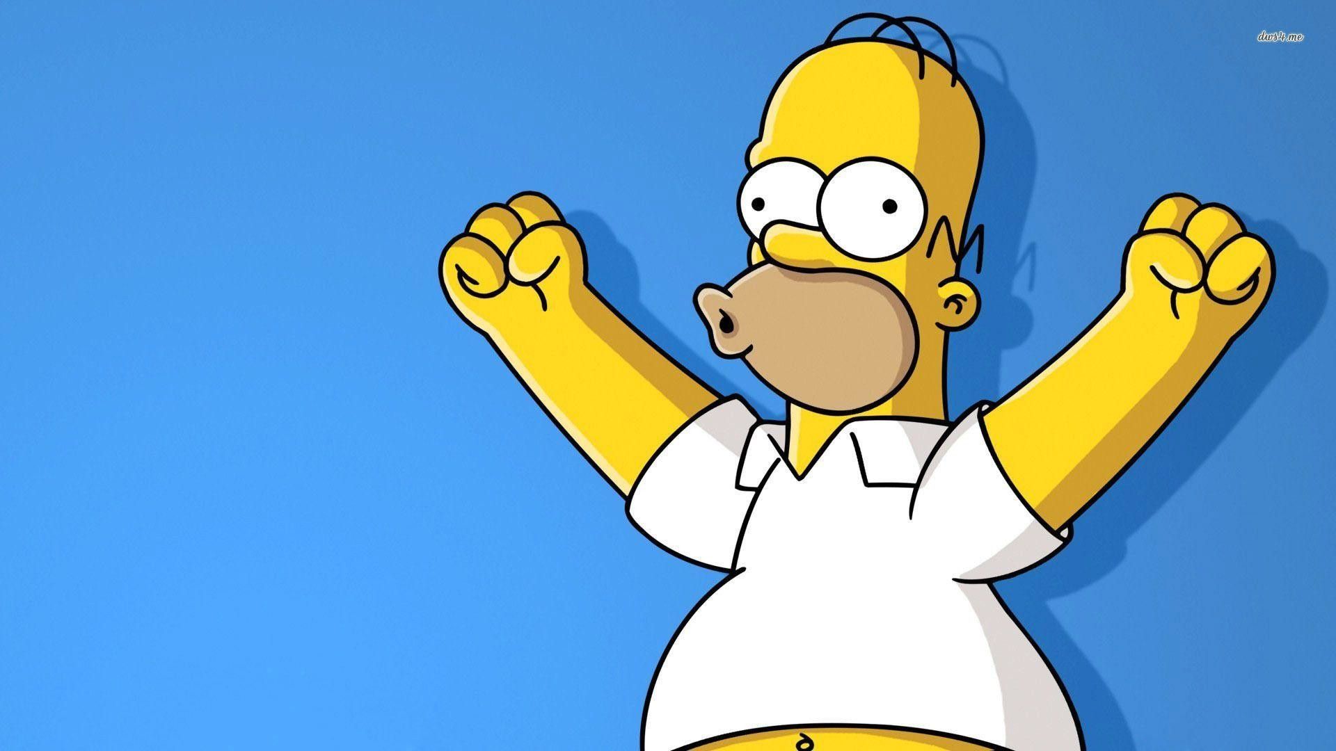Homer Simpson testa scritta divertente, 1024x768 HD, Acer Nitro