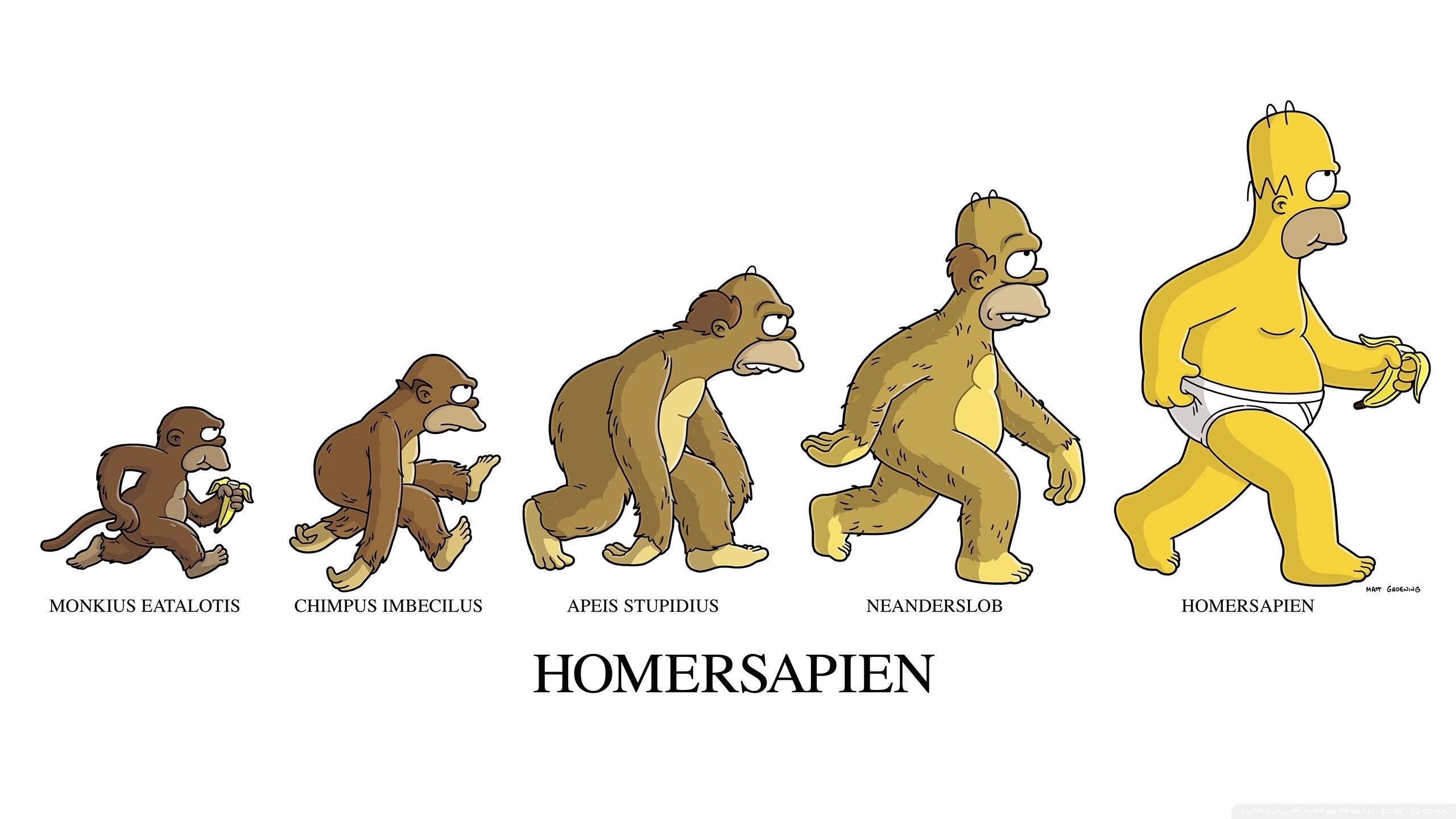Homer Simpson evoluzione scimmia, 2560x1440 2K QHD, Monitor Gaming
