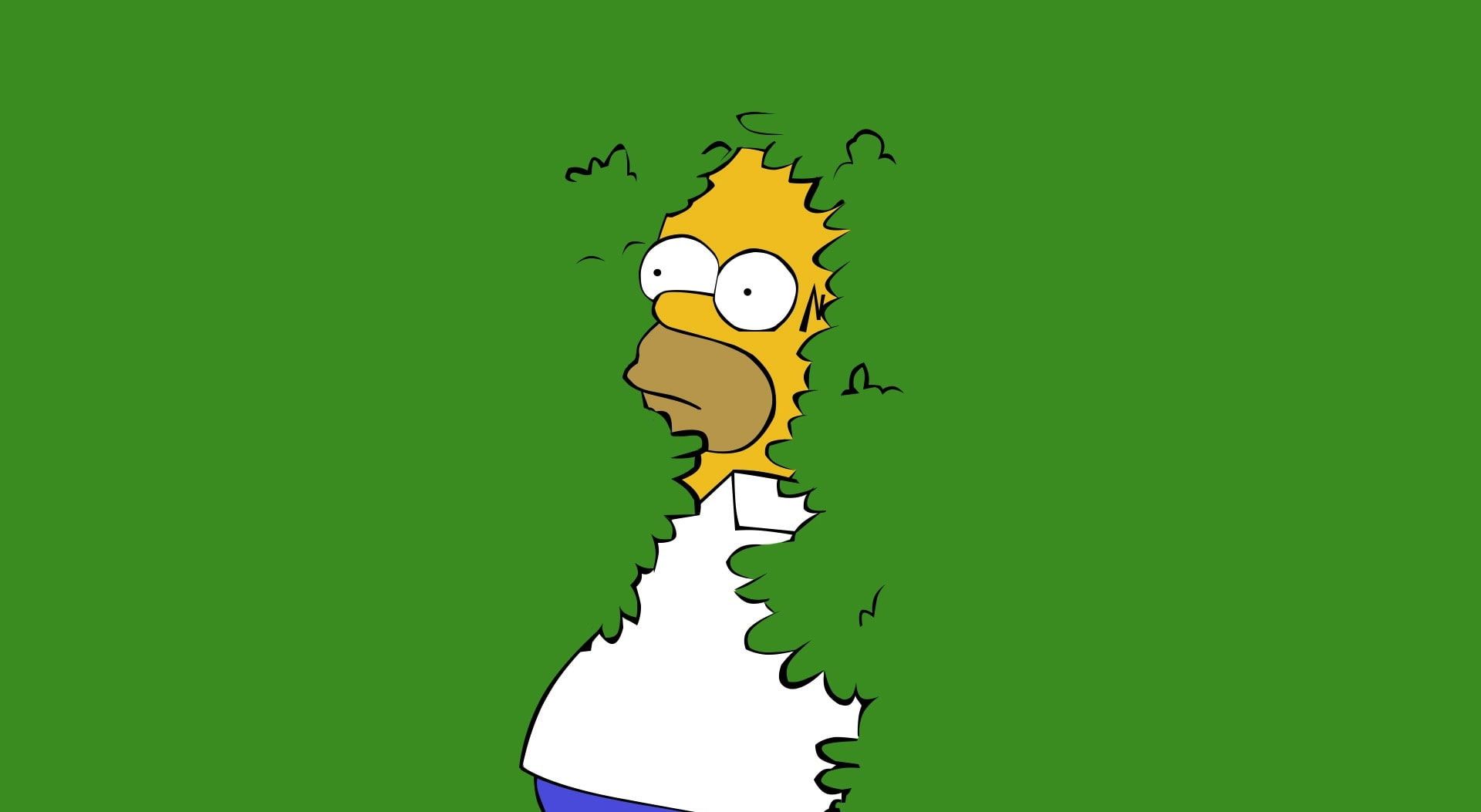 Homer Simpson tra i cespugli, 1920x1053 Full HD, iMac