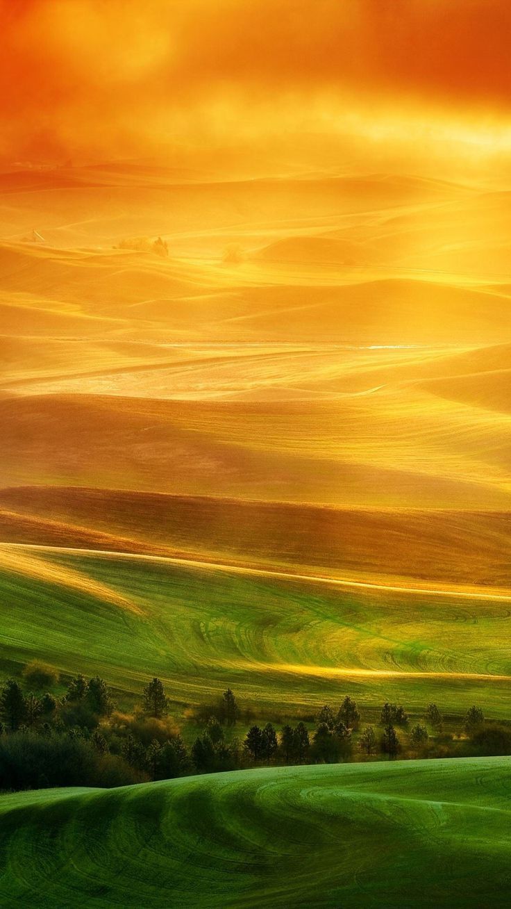 Colline verdi tramonto arancione, 736x1308 Full HD Verticale, Google Pixel