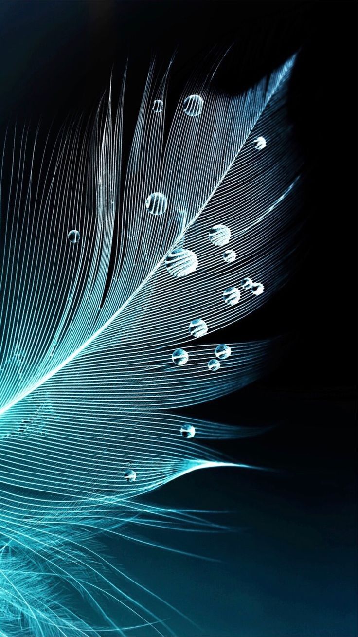 Piuma blu con gocce d'acqua, 736x1309 Verticale, Telefono