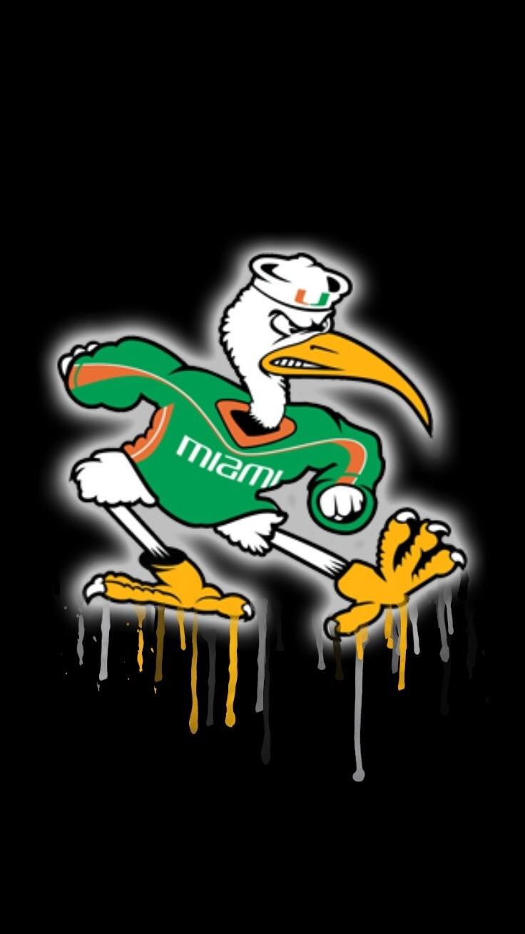 Logo Università di Miami, 1600x1200 900p, Laptop