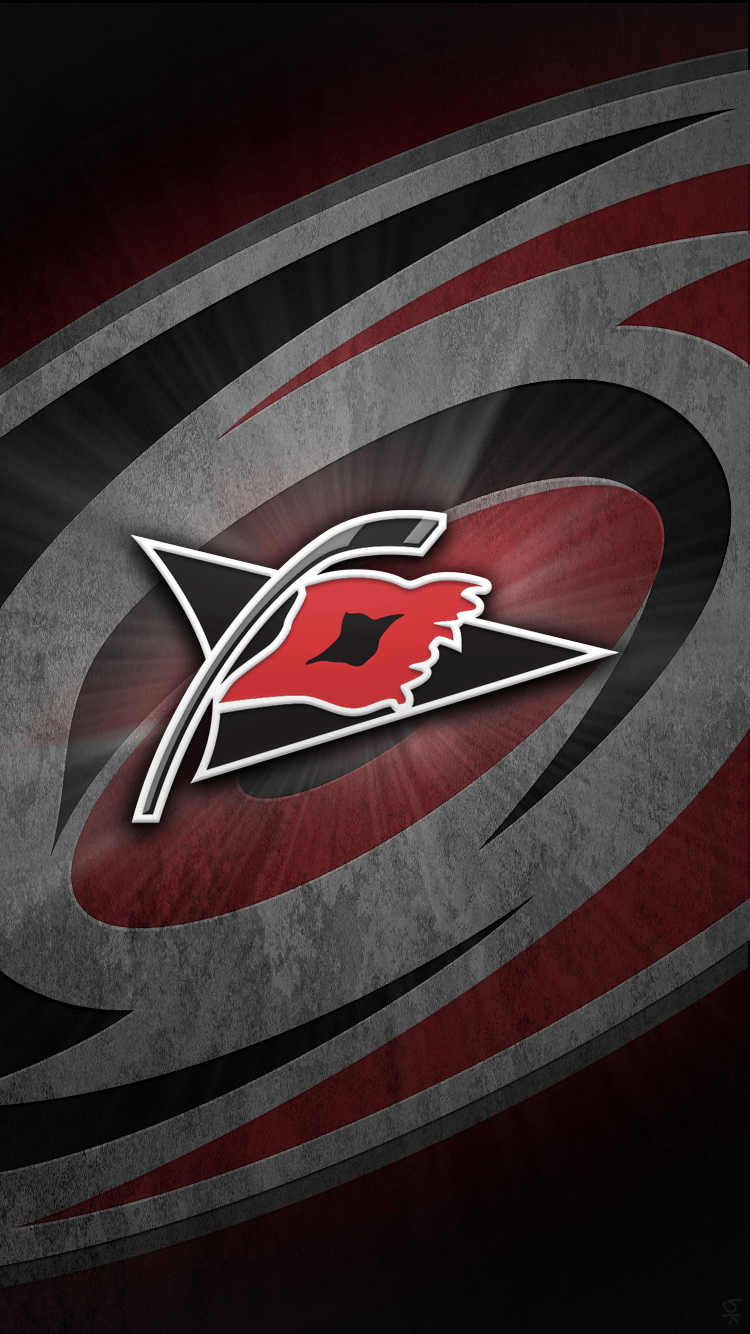 Carolina Hurricanes Bunch of Jerks, 1242x2688 Full HD Verticale, iPhone
