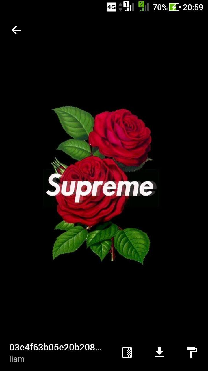 Rose rosse logo Supreme, 720x1280 Verticale, Telefono