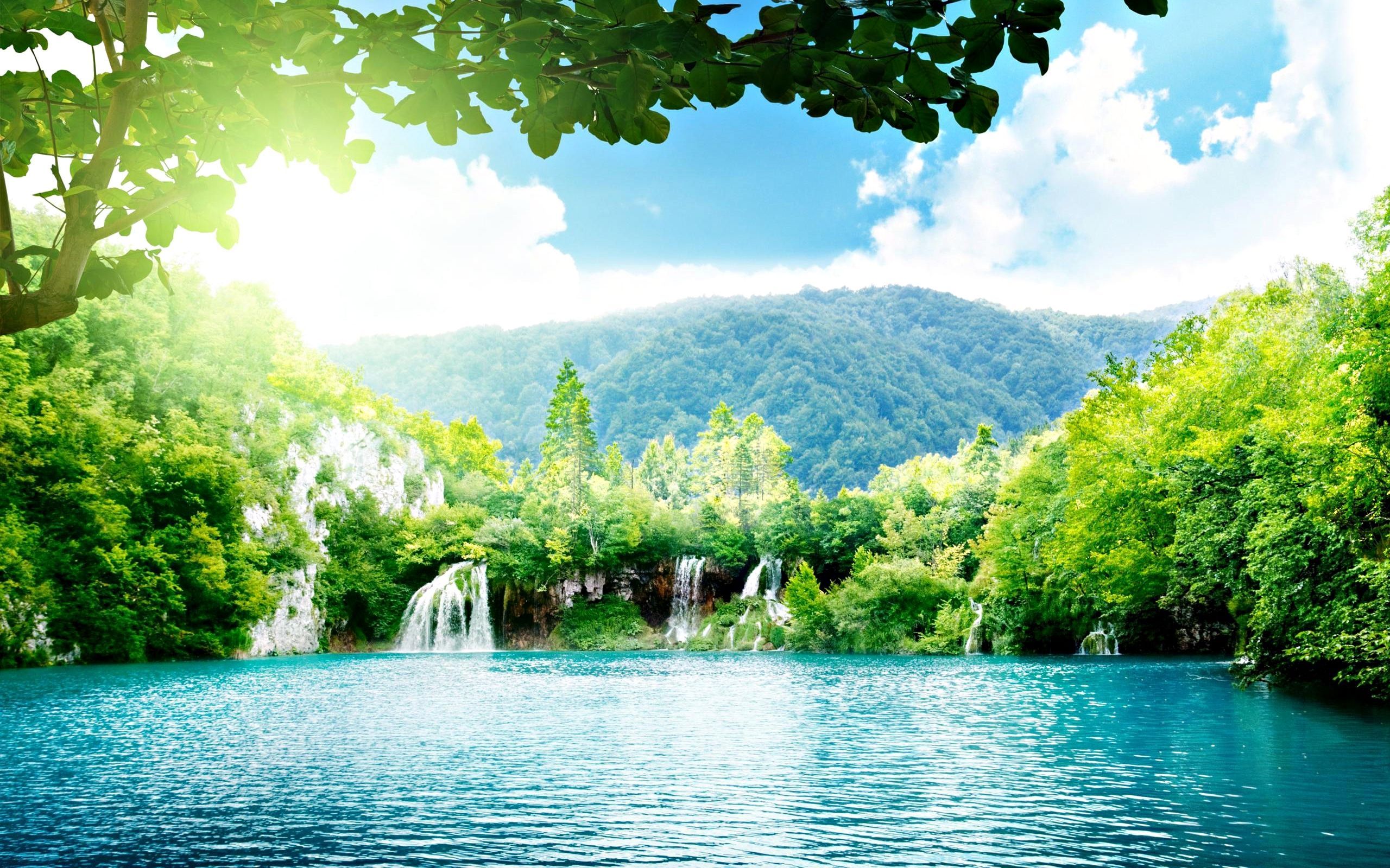 Lago e cascate nella foresta, 2560x1600 2K+, Desktop