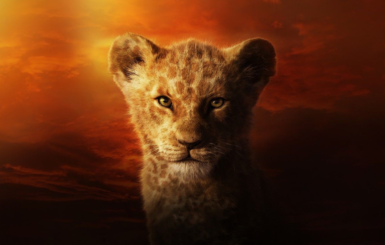 Personaggi Re Leone insieme, 3840x2160 4K Ultra HD, Monitor 4K