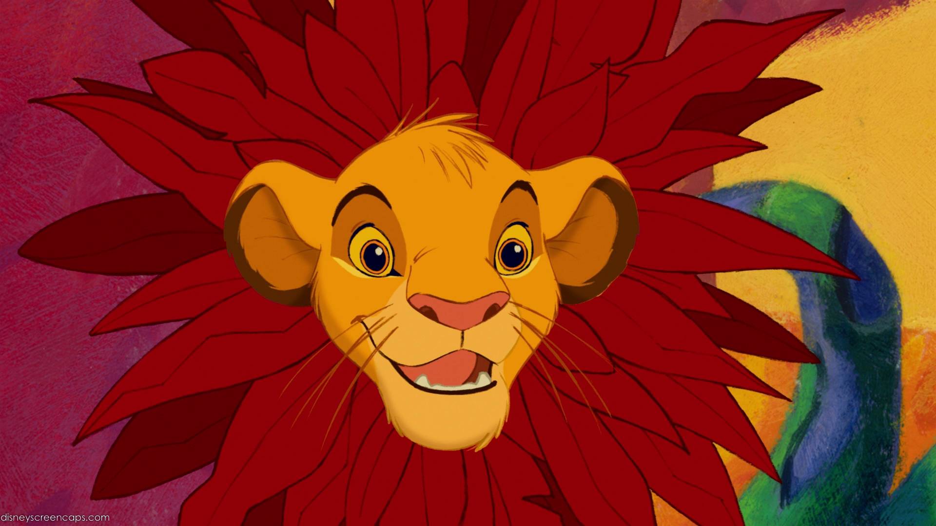 Il Re Leone famiglia leoni, 1920x1080 1080p, Desktop