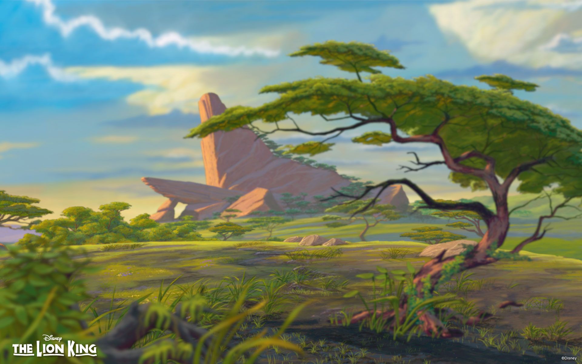 Simba e Mufasa Re Leone, 1024x768 HD, Desktop