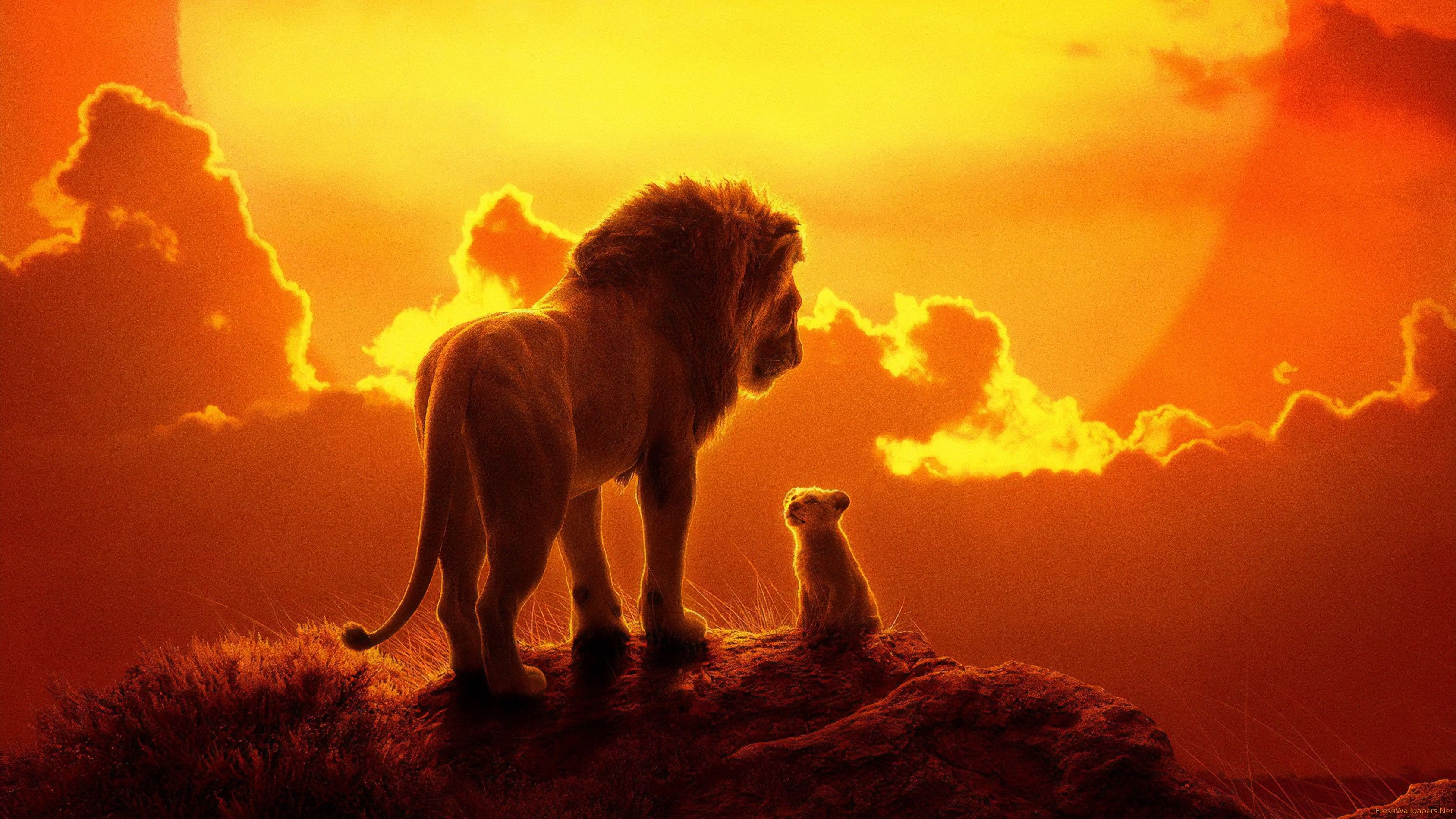 Re Leone leone e cucciolo, 3375x1898 WQXGA, Laptop