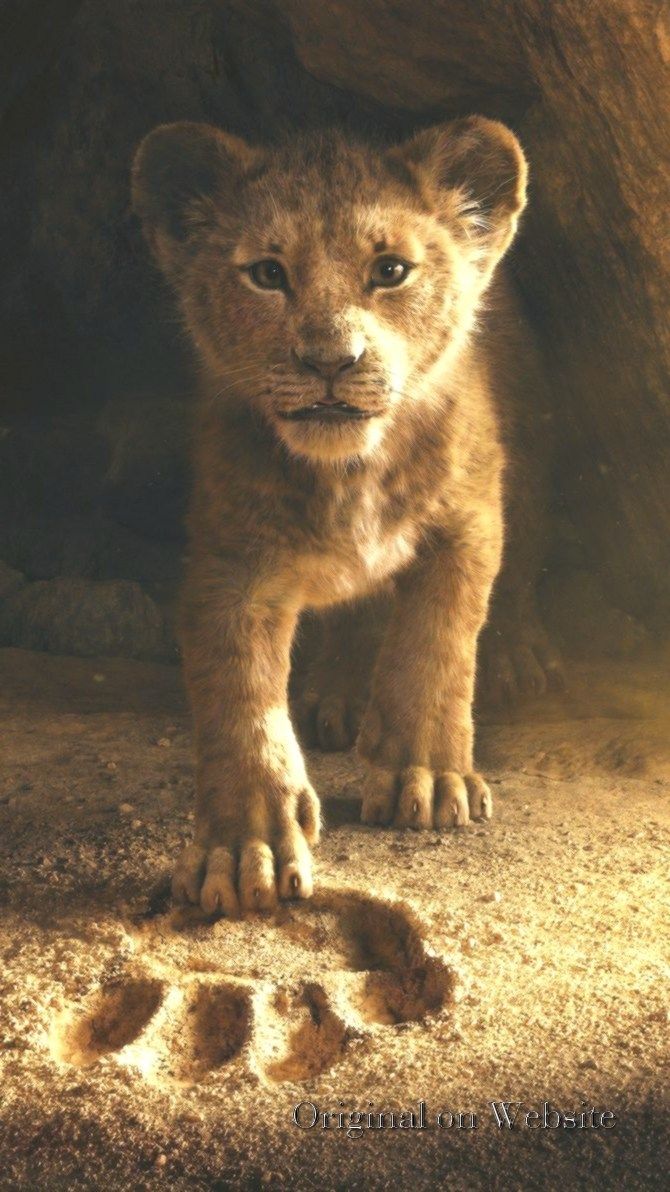 Cucciolo Simba Il Re Leone, 670x1192 Full HD Verticale, iPhone
