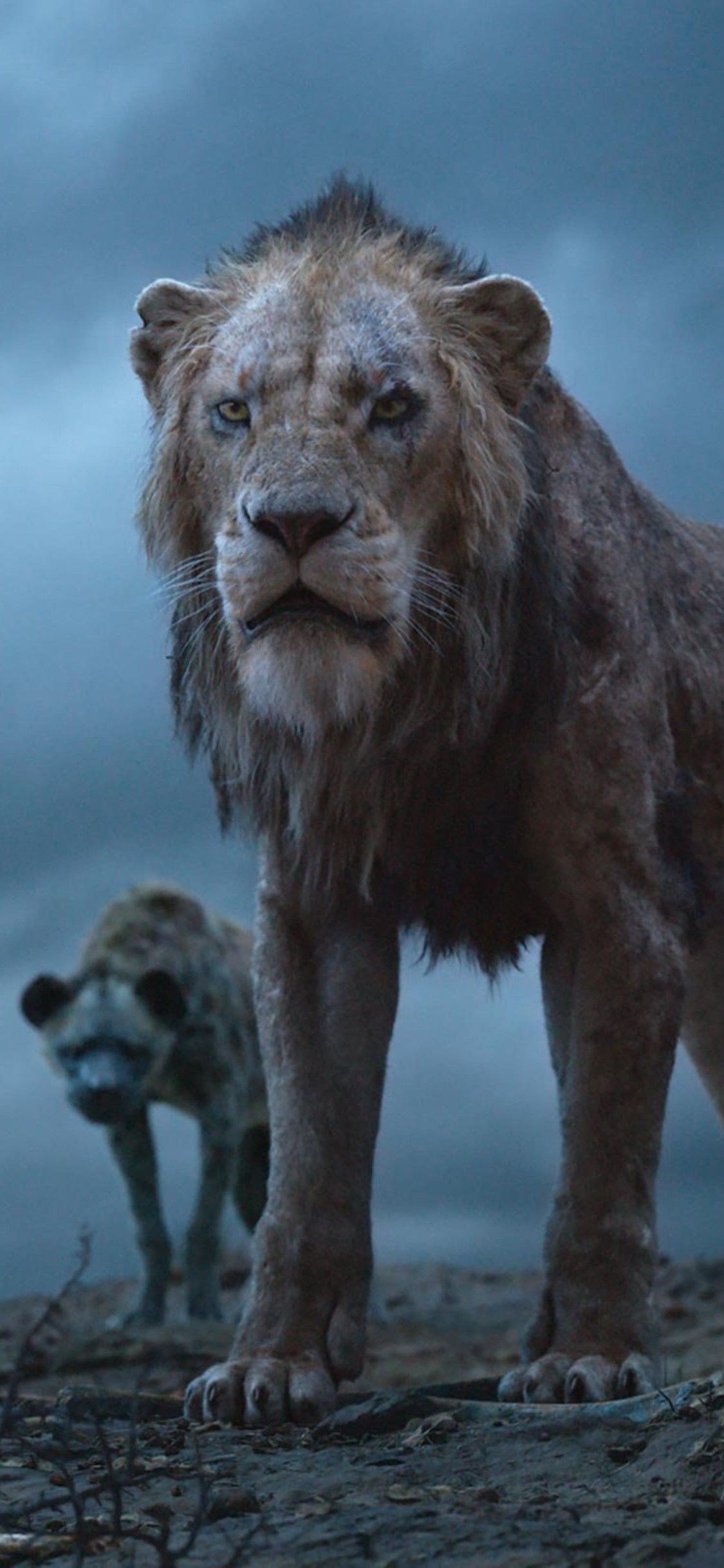 Scar leone Il Re Leone, 1125x2436 Full HD Verticale, iPhone Pro