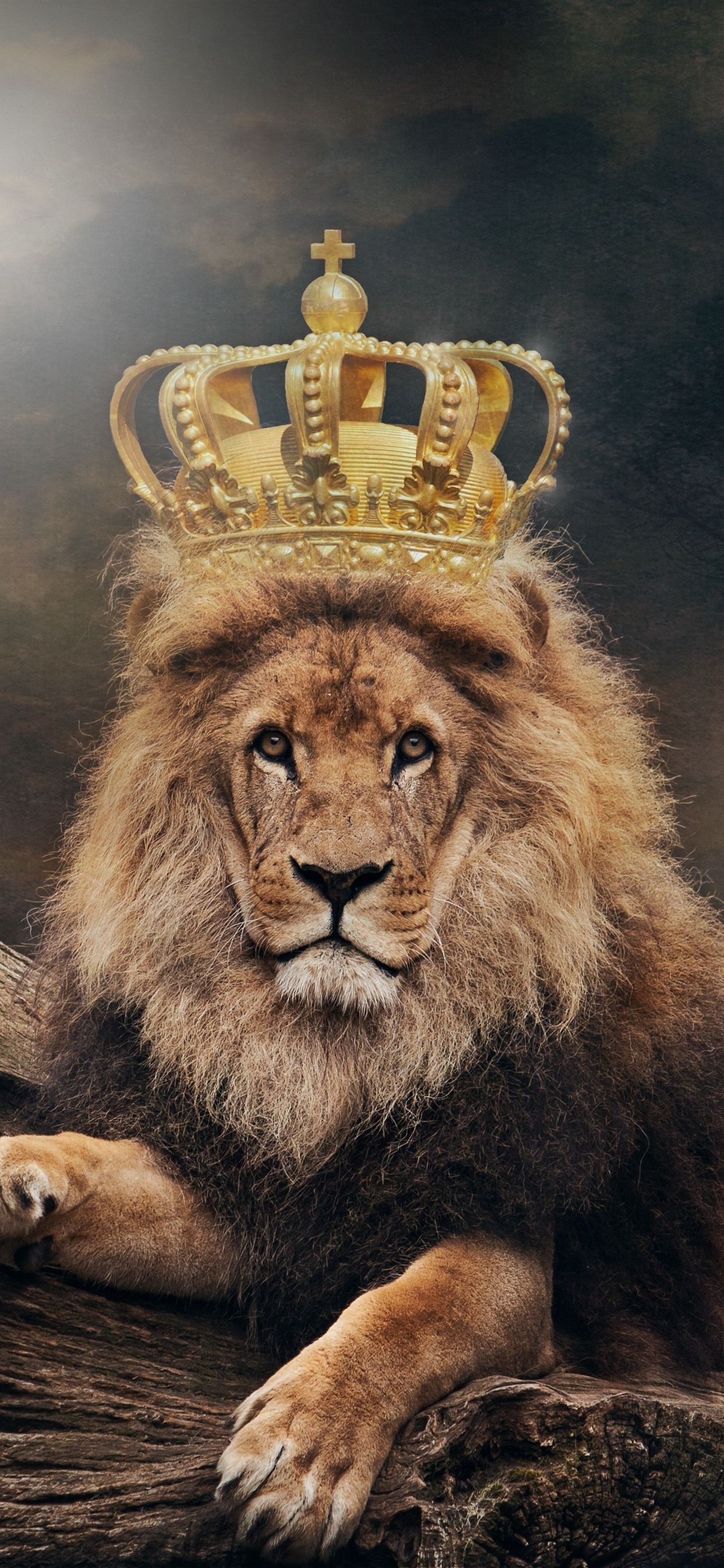Leone con corona dorata, 1242x2688 Verticale, iPhone Air
