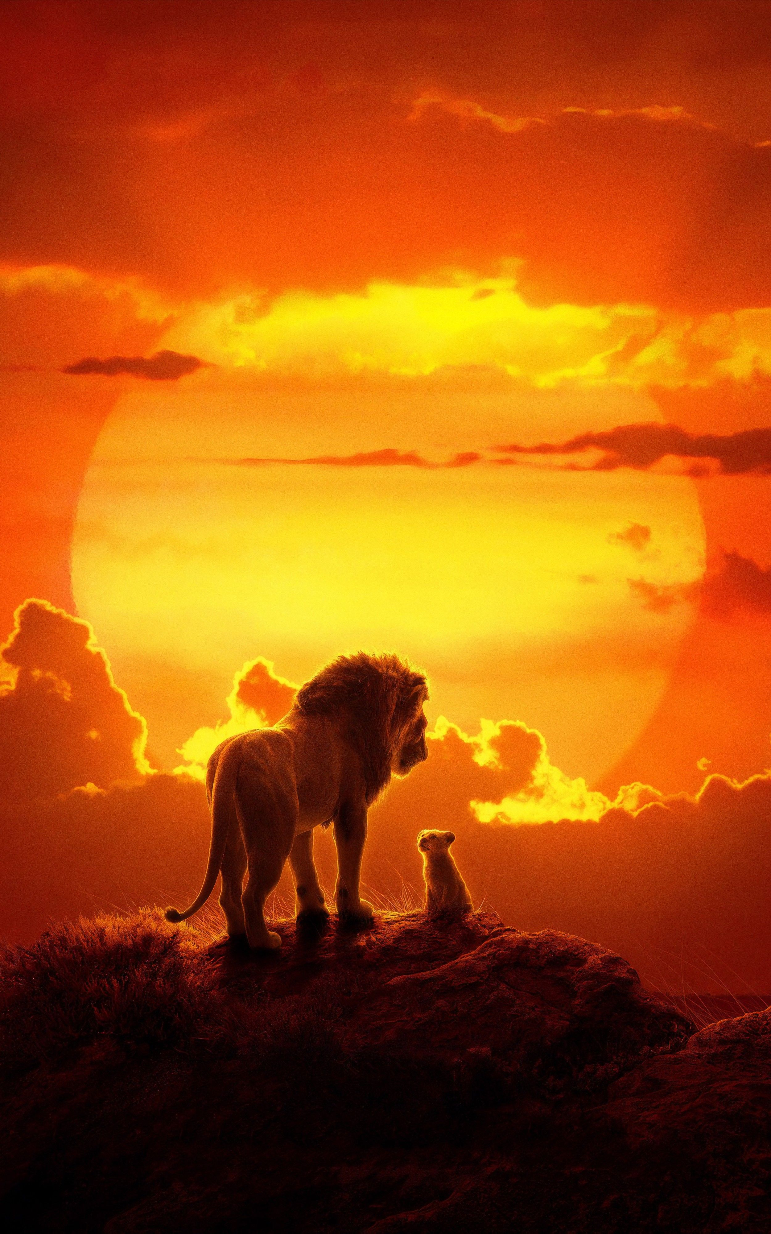 Re Leone tramonto silhouette, 2500x4000 Verticale, iPhone Pro Max