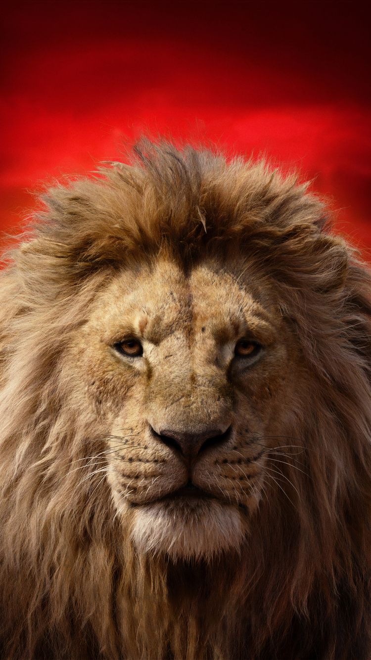 Mufasa Il Re Leone, 750x1334 Verticale, iPhone Pro