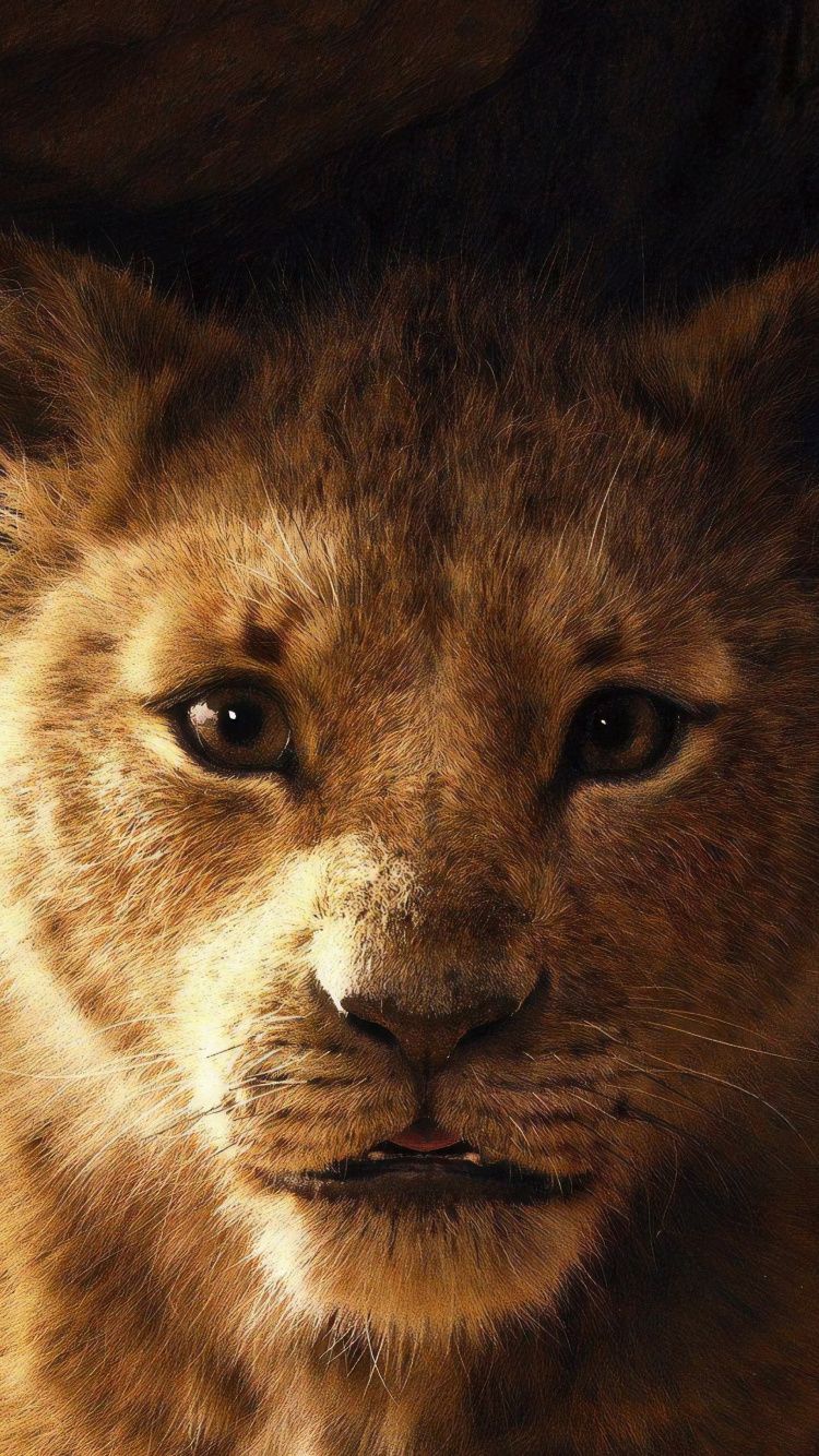 Simba cucciolo Re Leone, 750x1334 Full HD Verticale, iPhone