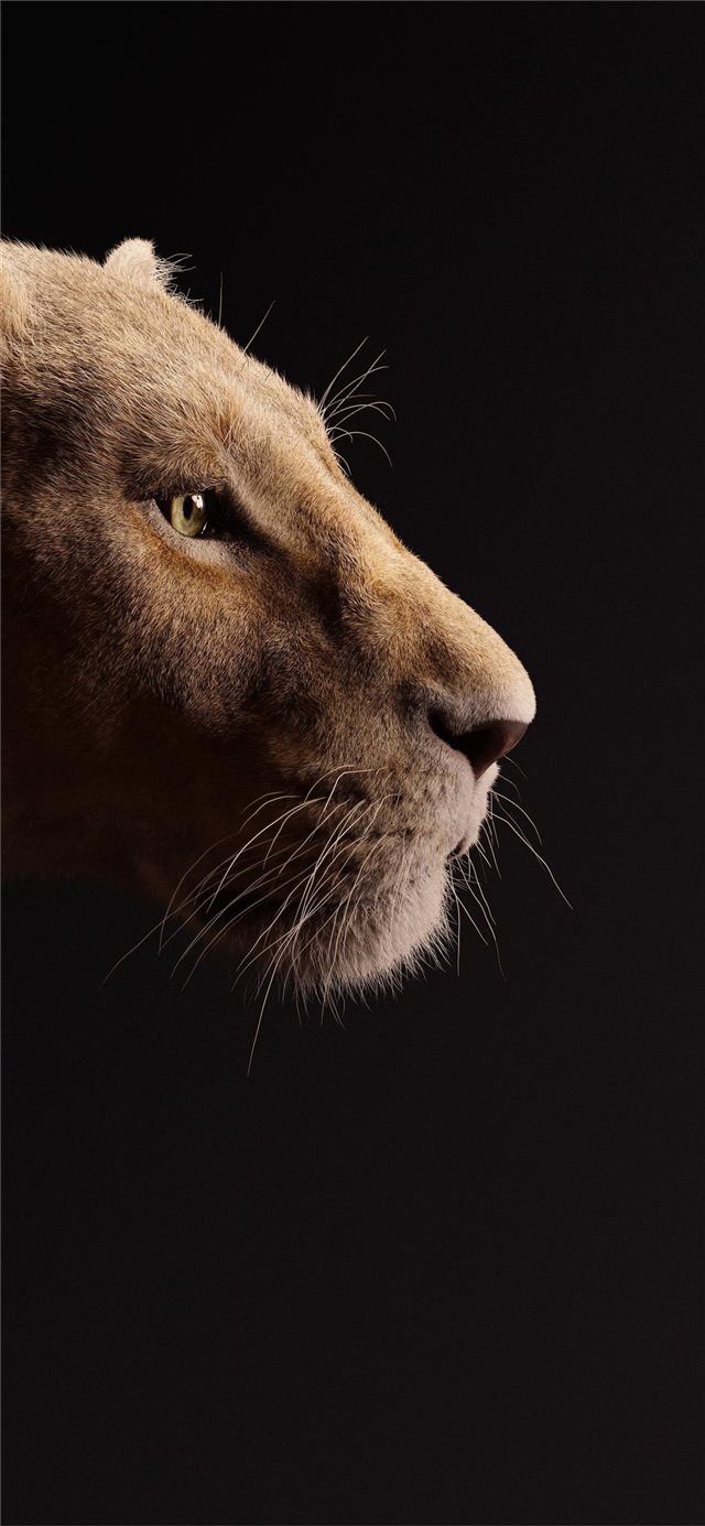 Nala leone Re Leone, 640x1385 Verticale, iPhone Air