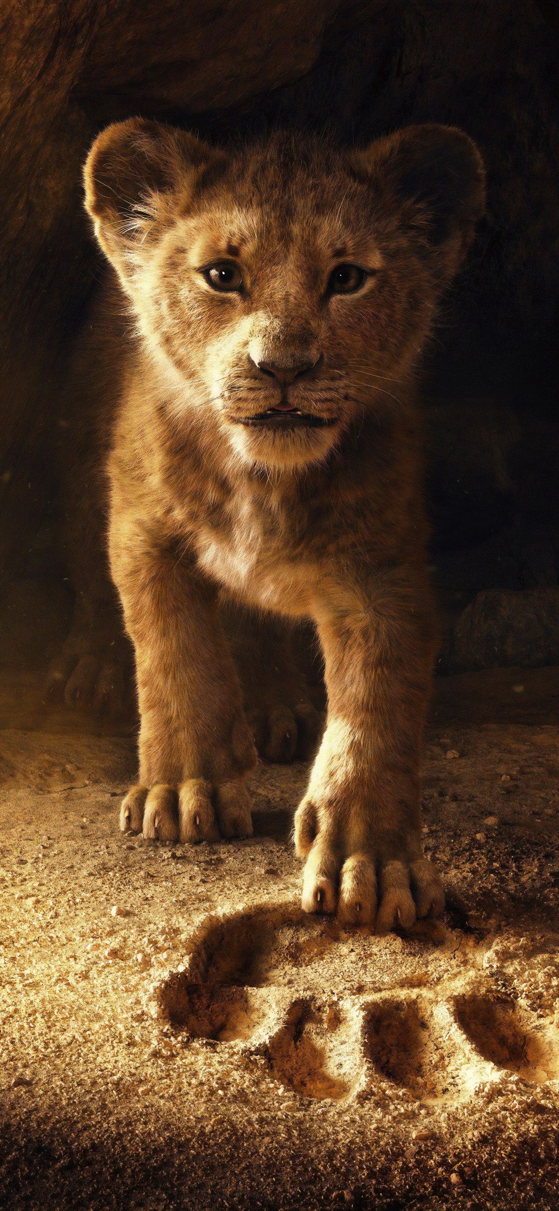 Simba cucciolo Re Leone, 1125x2436 Full HD Verticale, iPhone Pro