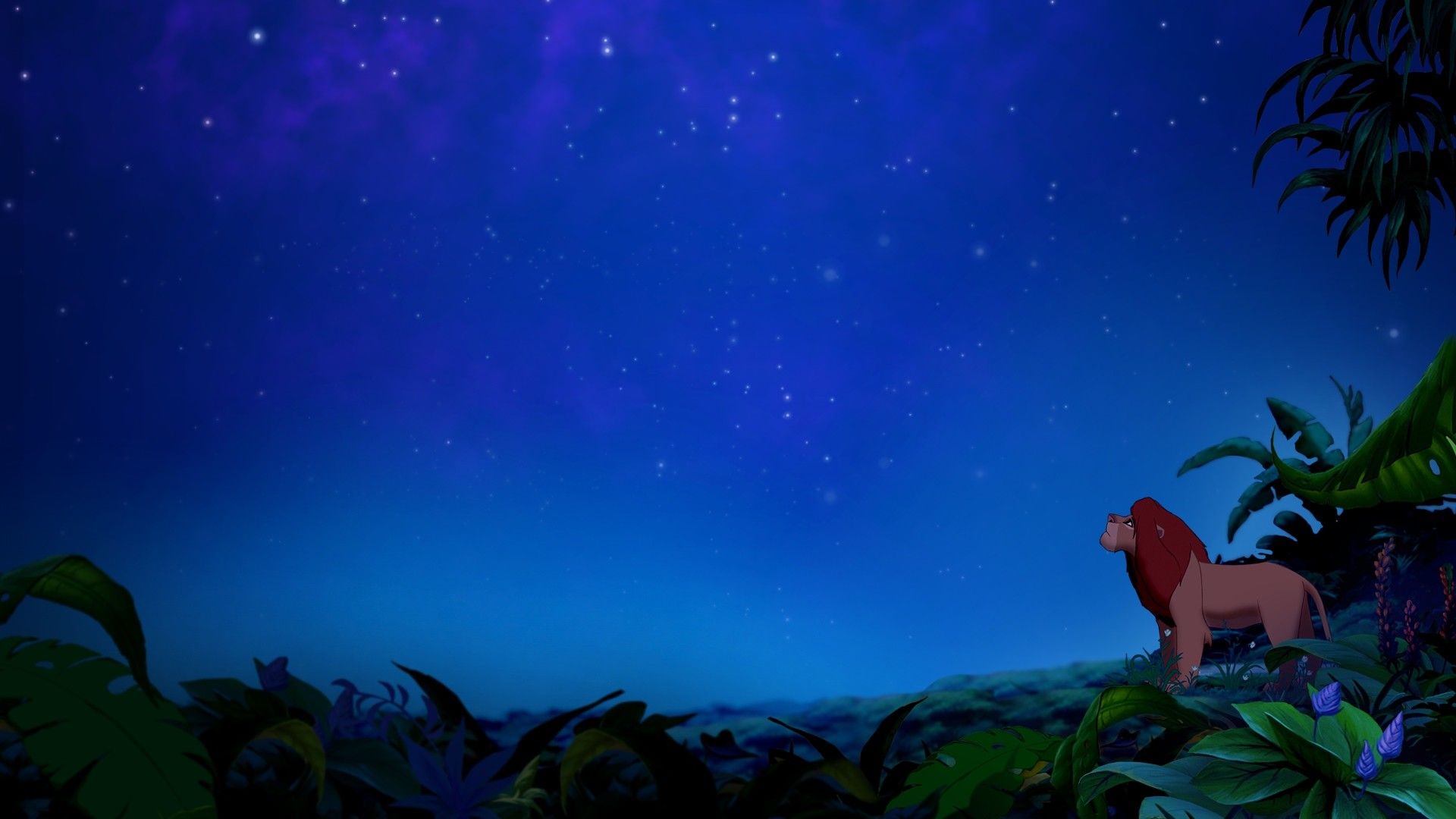 Simba silhouette cielo notturno, 1920x1080 Full HD 1080p, PC Desktop