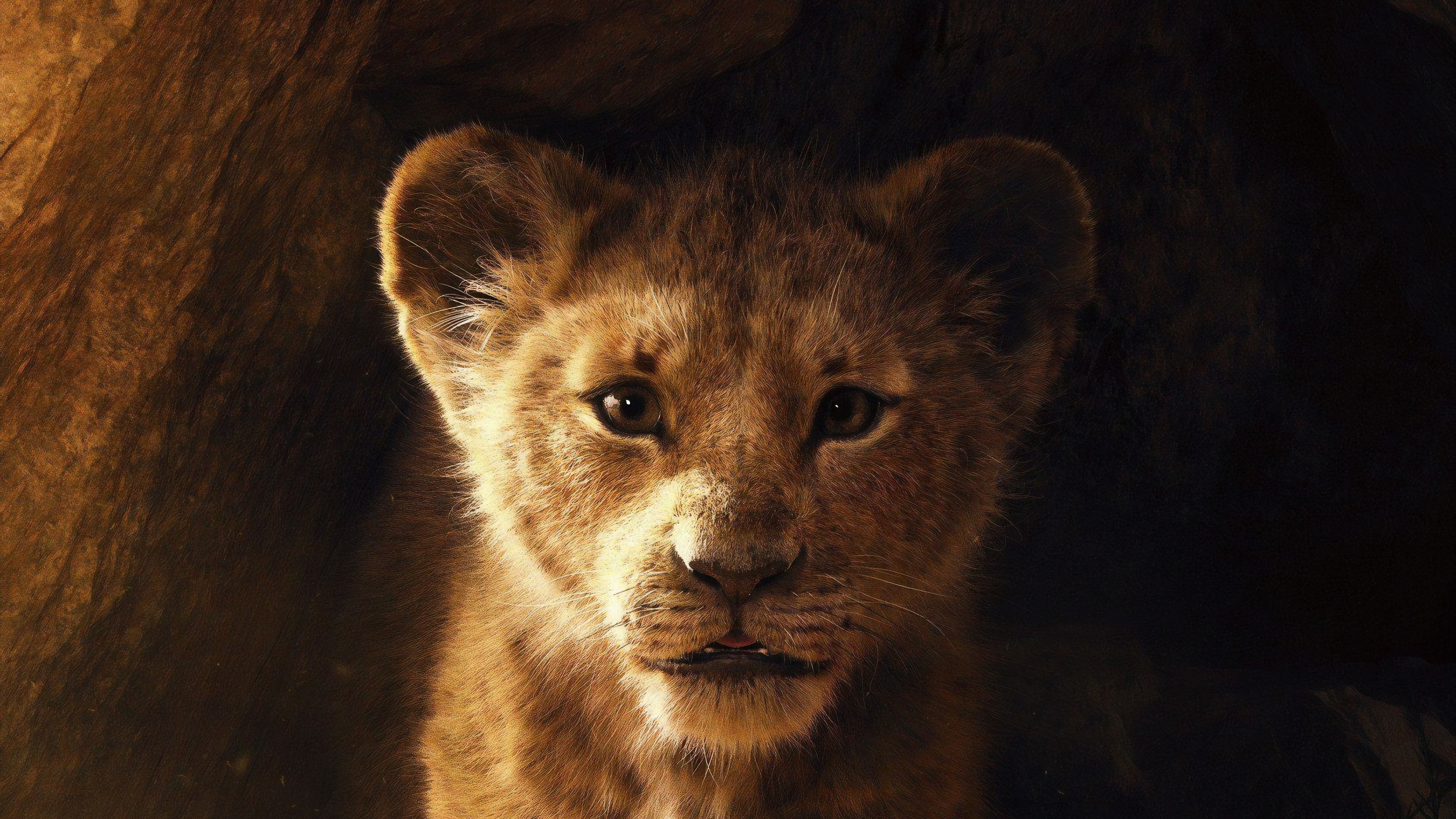 Il Re Leone personaggi Disney, classici d'animazione, 1600x1200 900p, PC
