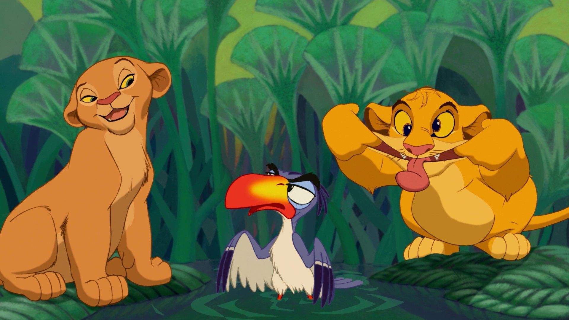 Simba e Nala cuccioli con Zazu, 1920x1080 1080p, Desktop