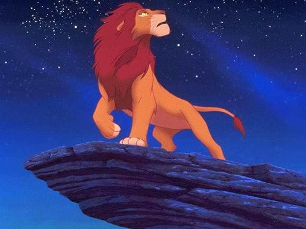 Simba adulto su roccia, 1024x768 HD, Desktop
