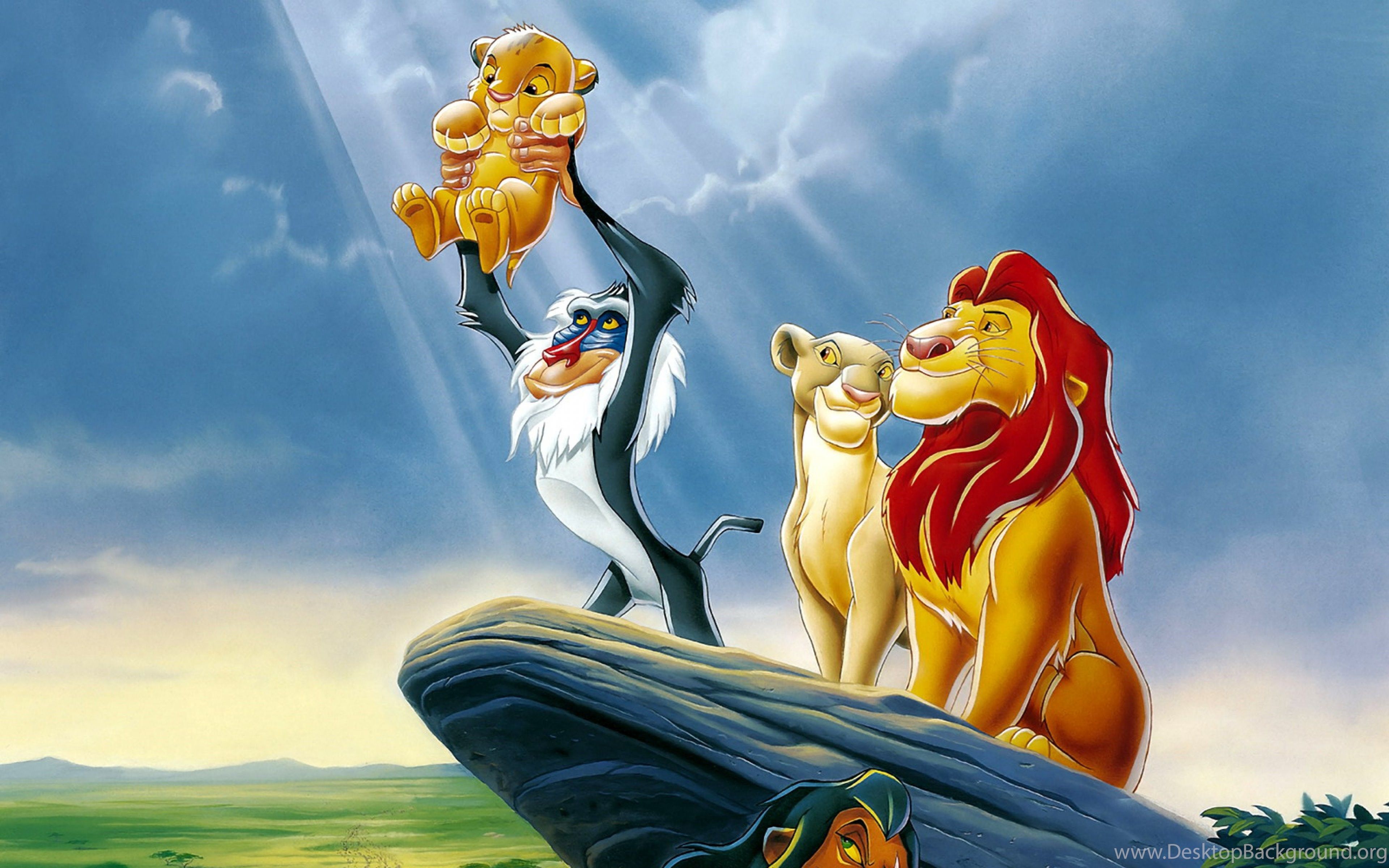 Simba adulto Re Leone, 1024x768 HD, PC