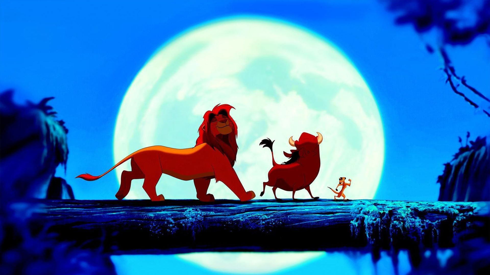 Simba, Timon e Pumbaa, 1920x1080 Full HD, PC