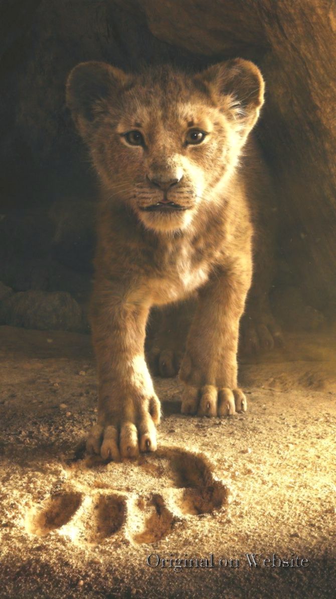 Re Leone poster Simba roccia, 1080x1920 Verticale, Telefono