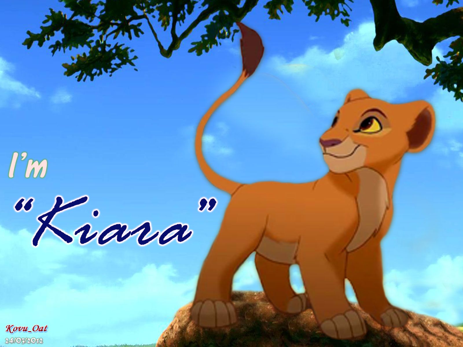Re Leone Simba Timon Pumbaa giungla, 1000x1000 HD, Desktop