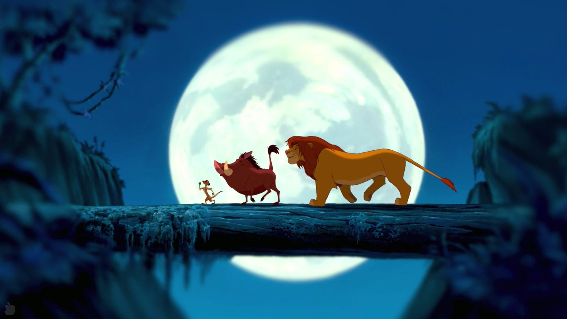 Il Re Leone luna piena, 1920x1080 1080p, PC