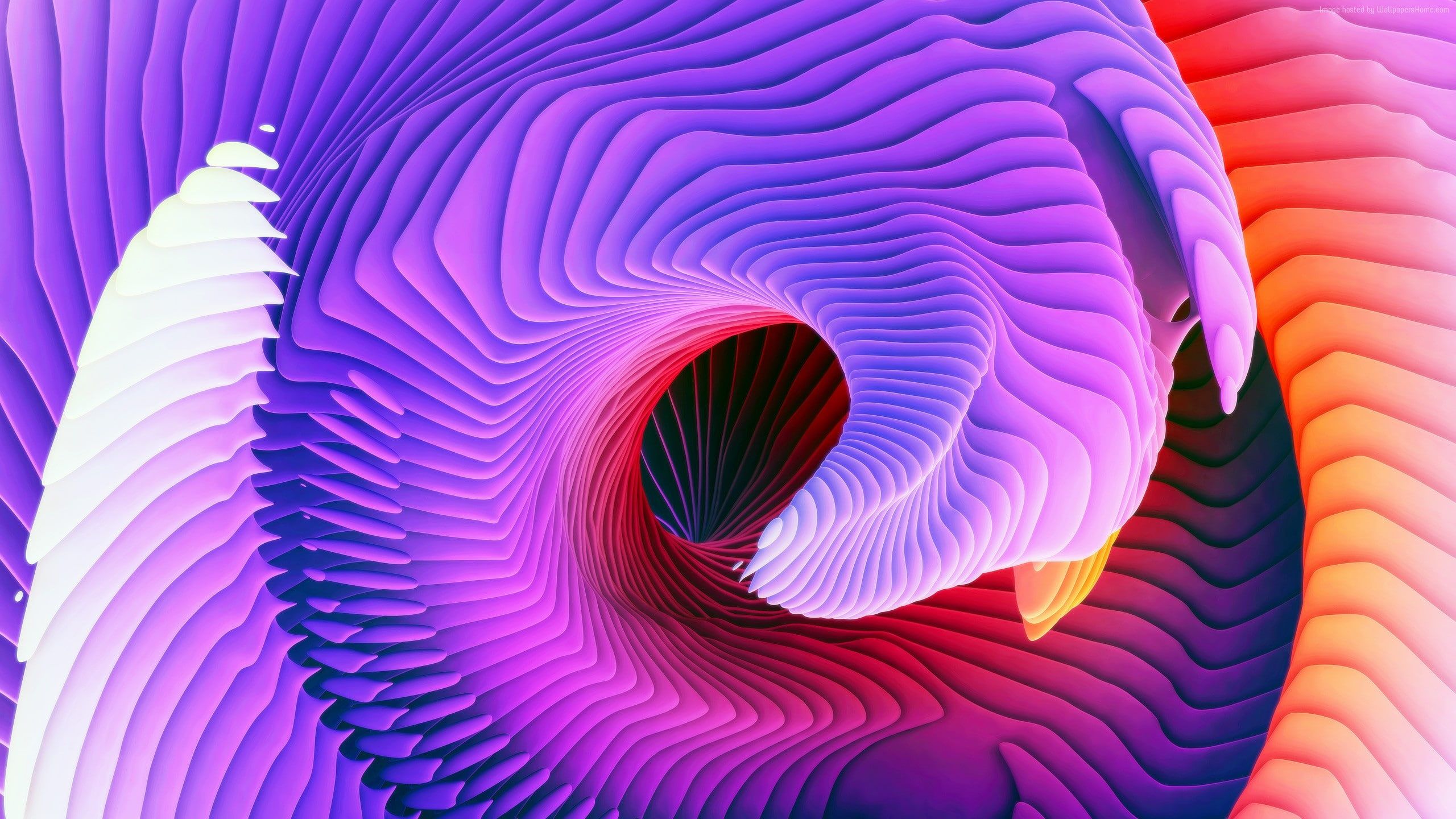 Galassia a spirale nello spazio, 2880x1800 2K+, MacBook Air