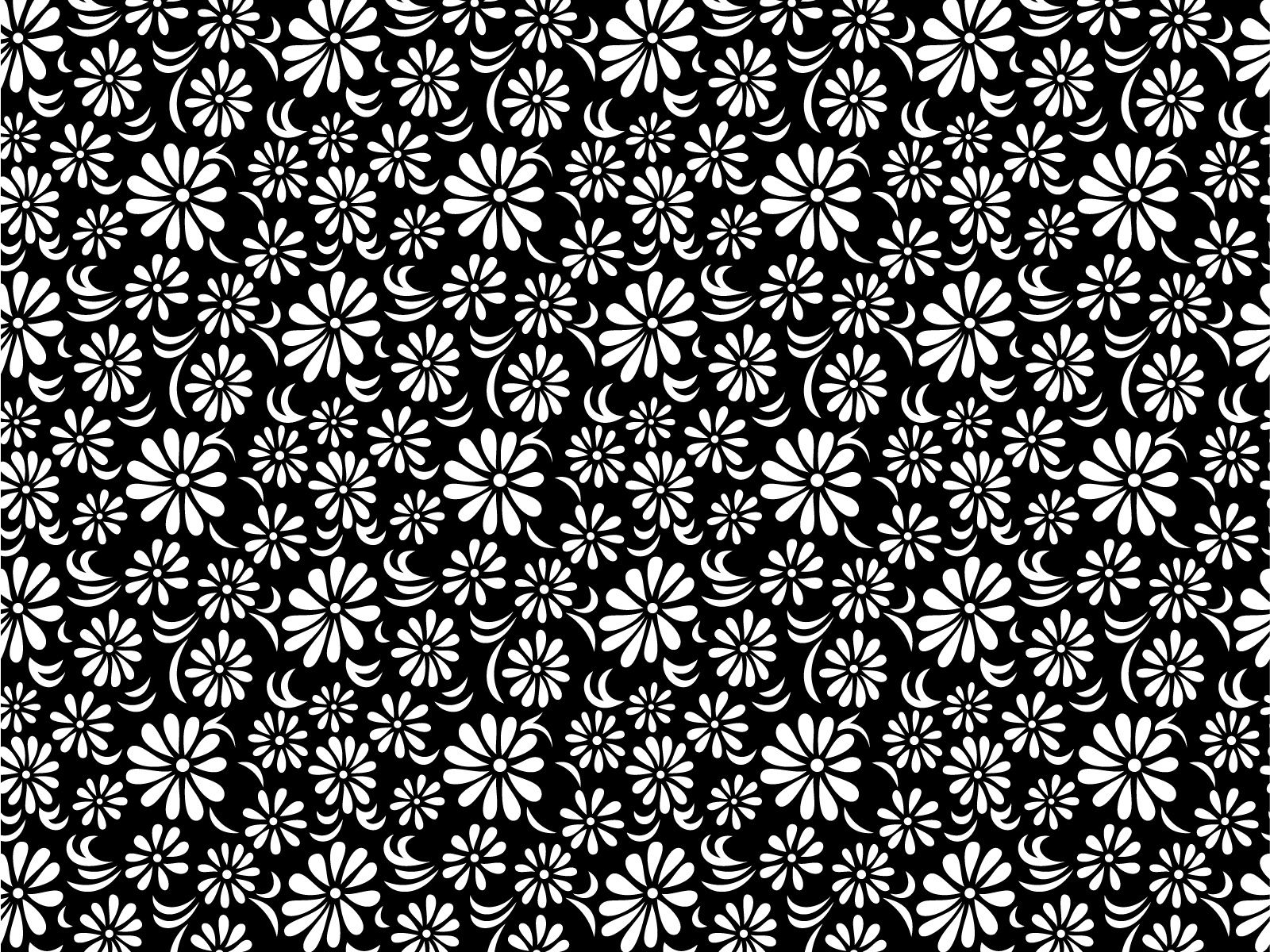 Motivo floreale bianco e nero, 1600x1200 HD, Desktop