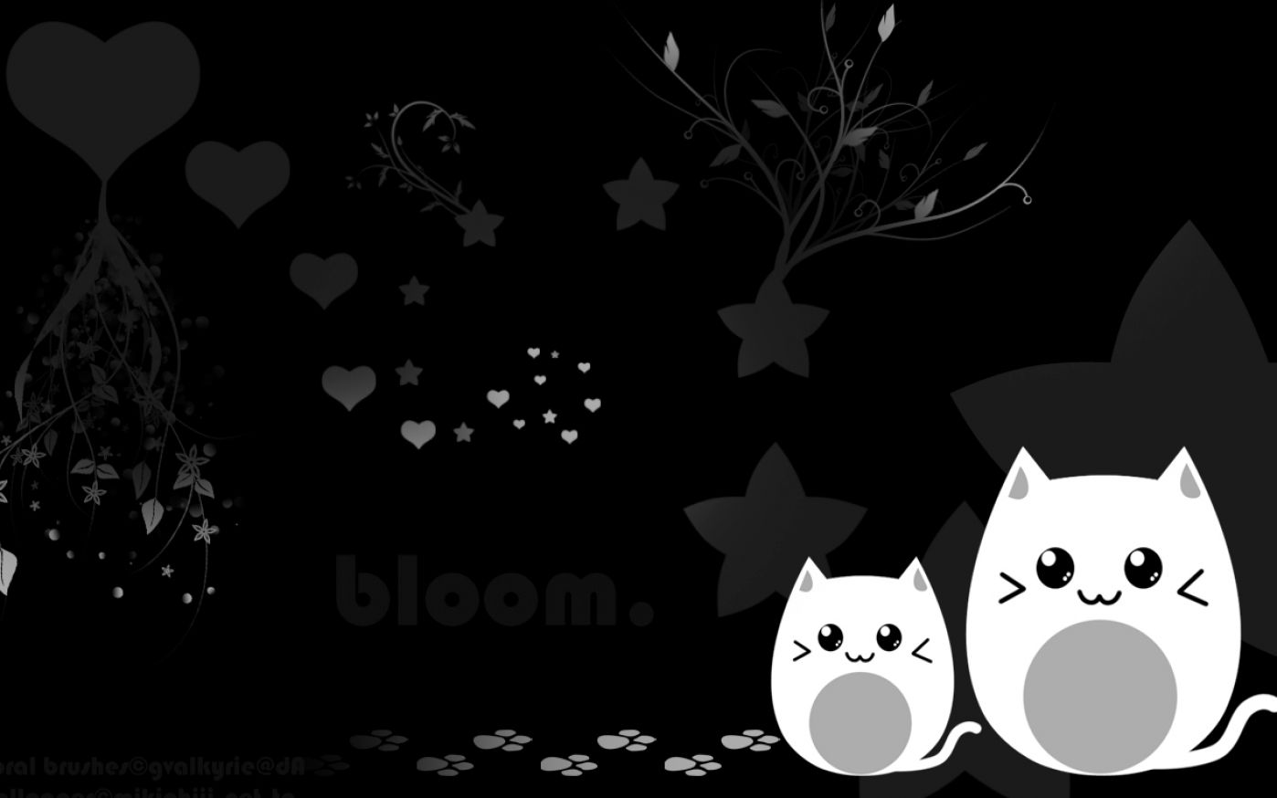 gatti carini bianco nero, 1398x874 HD, PC Desktop
