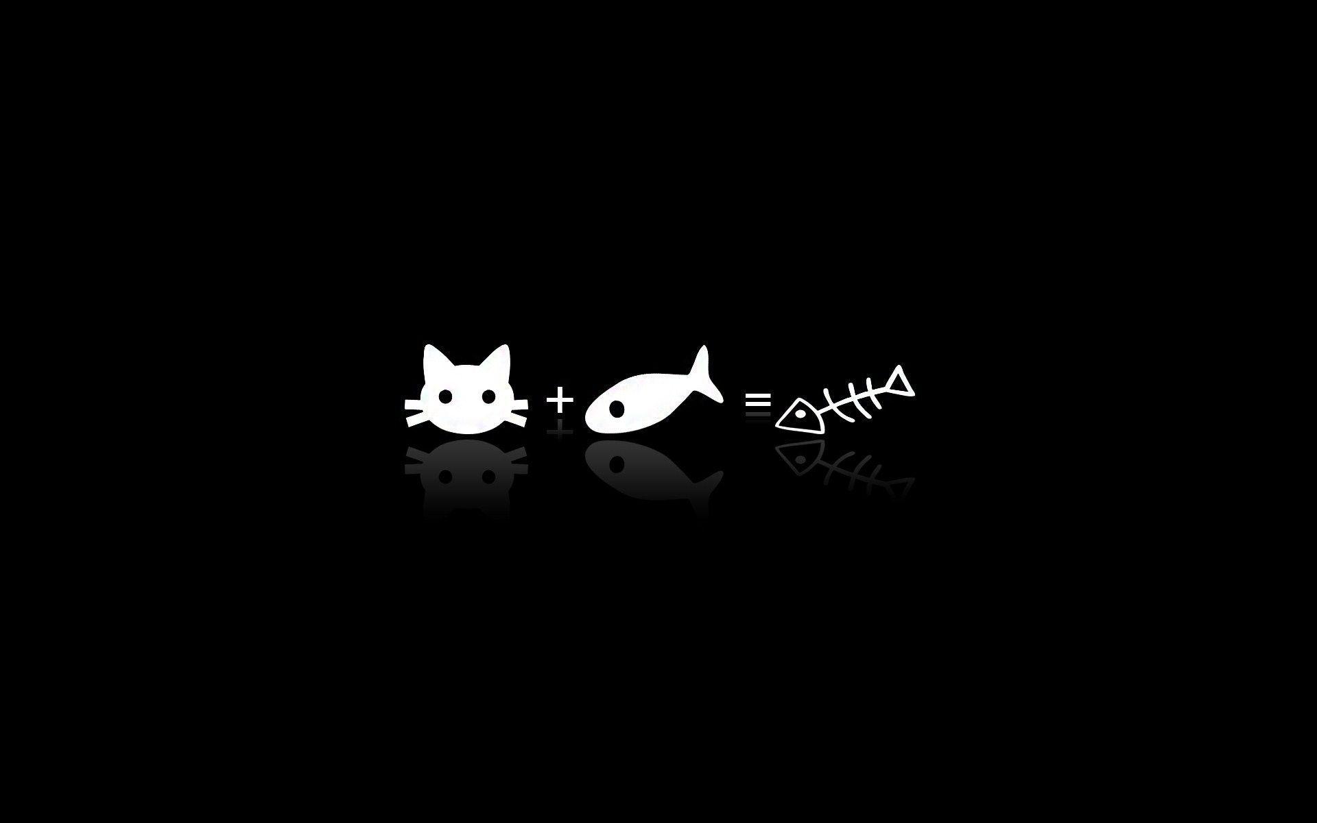 Gatto più pesce equazione, 1920x1200 Full HD+ WUXGA, PC Desktop