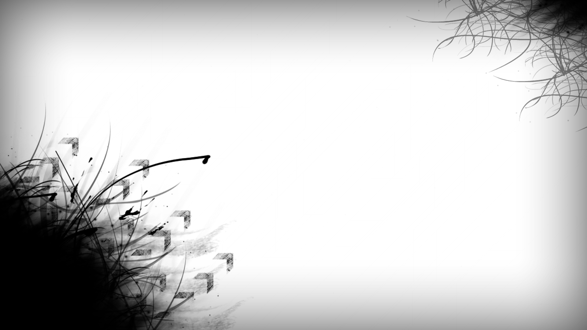 Rami e fiori bianco nero, 1920x1080 Full HD, PC