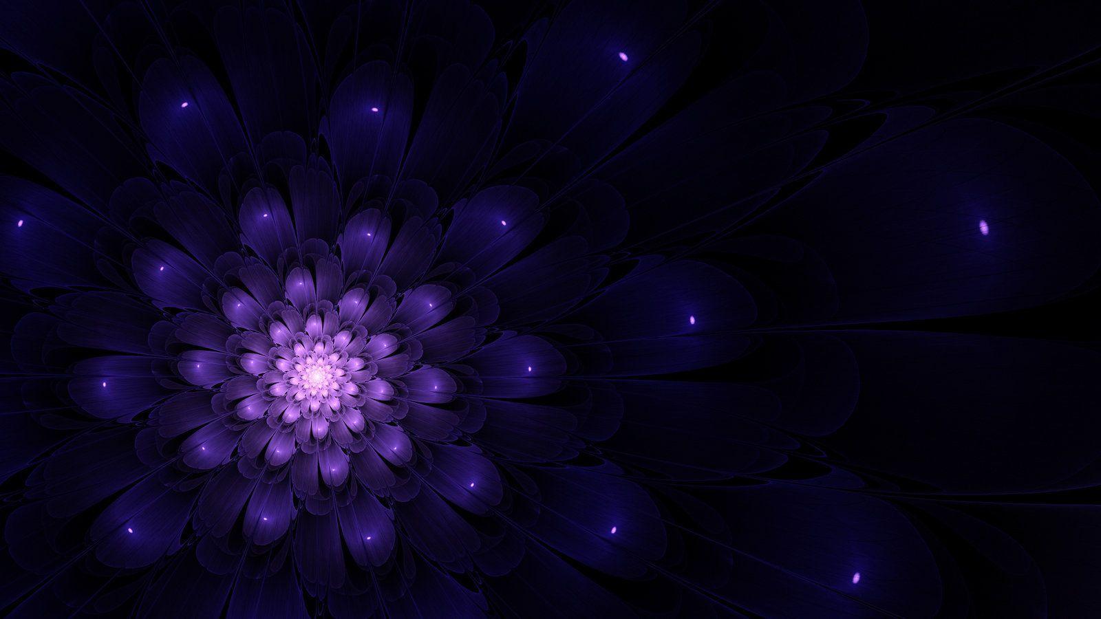 Fiore frattale viola su nero, 1600x900 900p, PC