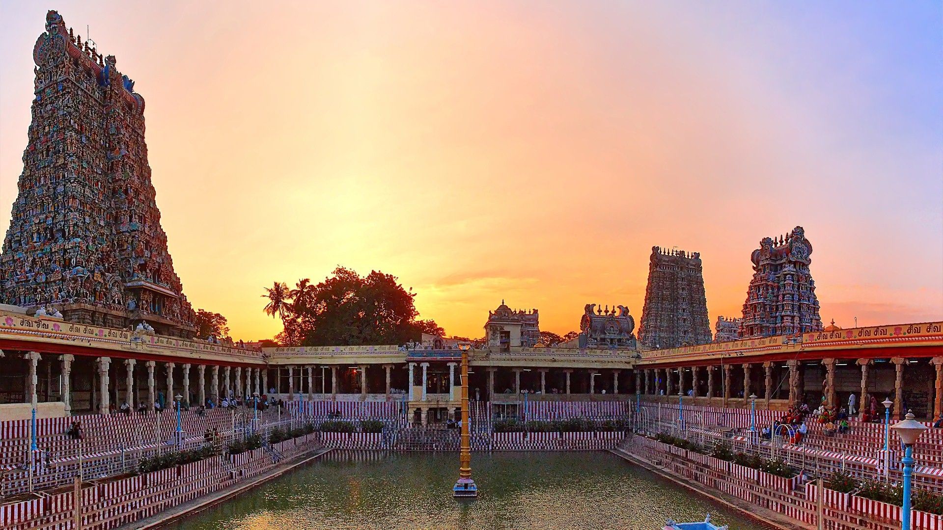 Cammelli e Taj Mahal India, 1920x1200 Full HD+ WUXGA, Monitor Gaming