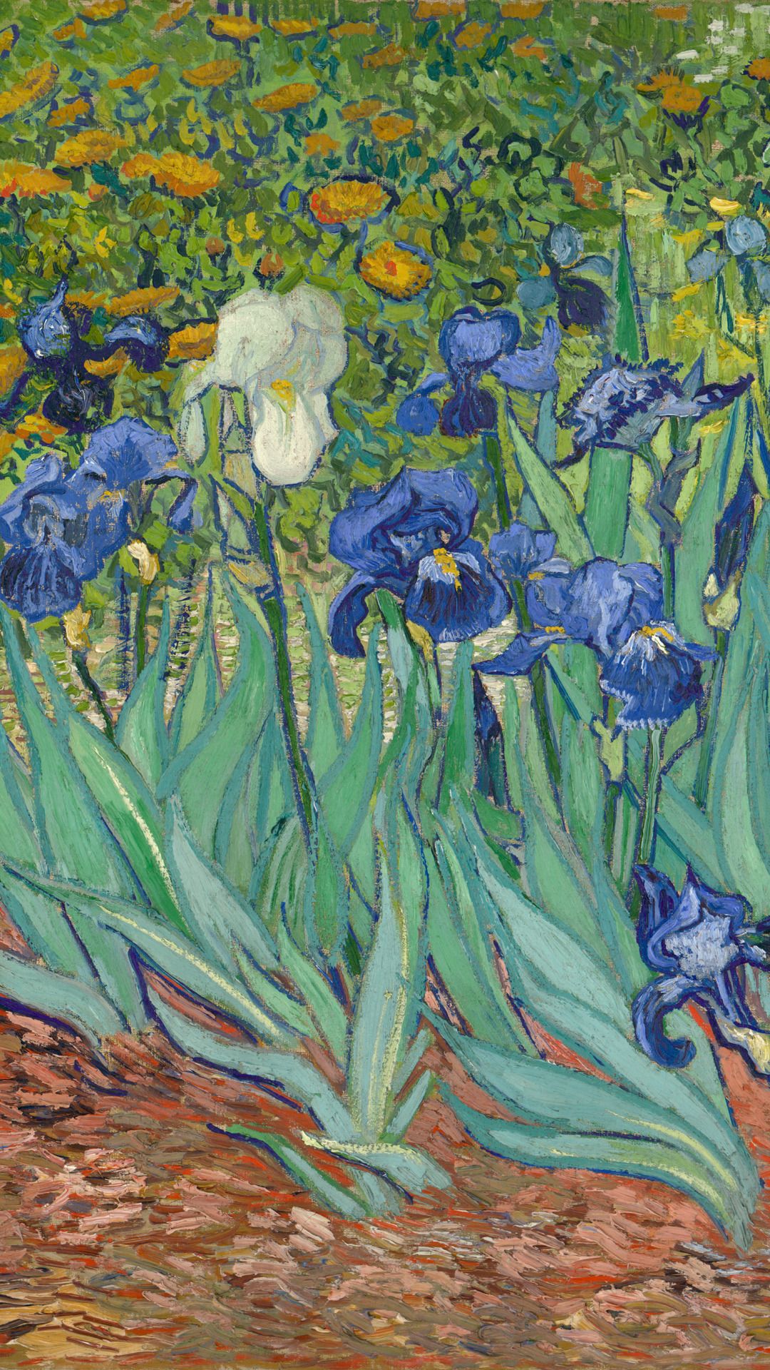 Iris di Van Gogh dipinto, 1080x1920 Full HD Verticale, Smartphone