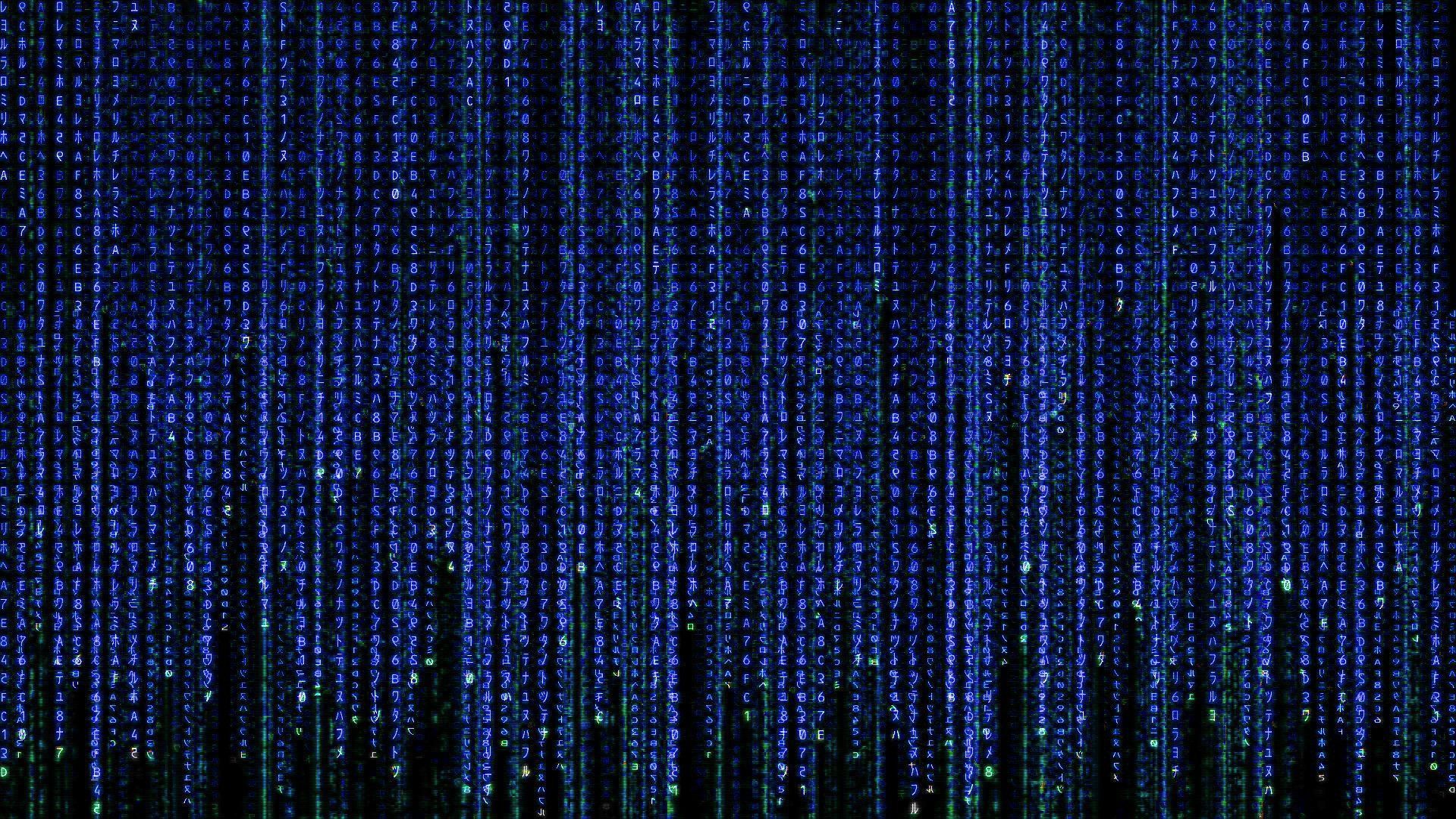 Codice binario blu digitale, 1920x1080 Full HD 1080p, Laptop