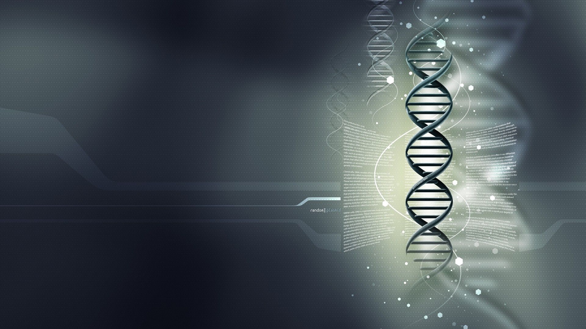 Schema circuiti elettronici bianco nero, 2560x1440 2K QHD, PC
