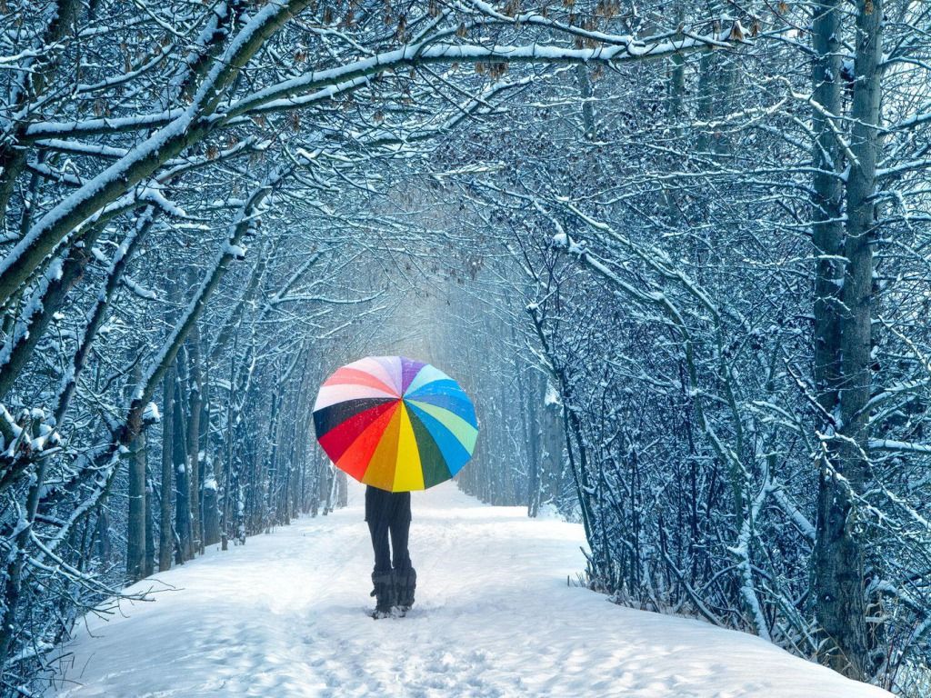 Persona con ombrello colorato neve, 1024x768 HD, Desktop