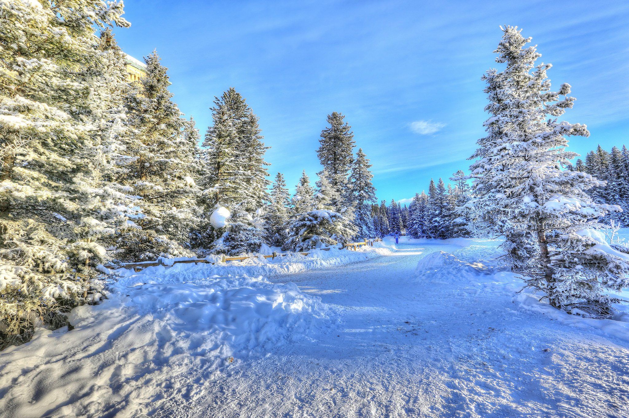 Bosco innevato con abeti, 2048x1361 Hi-Res, PC