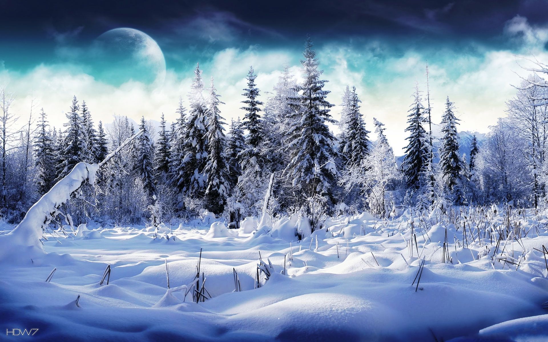 Foresta invernale astratta blu, 1920x1200 Full HD+, Desktop