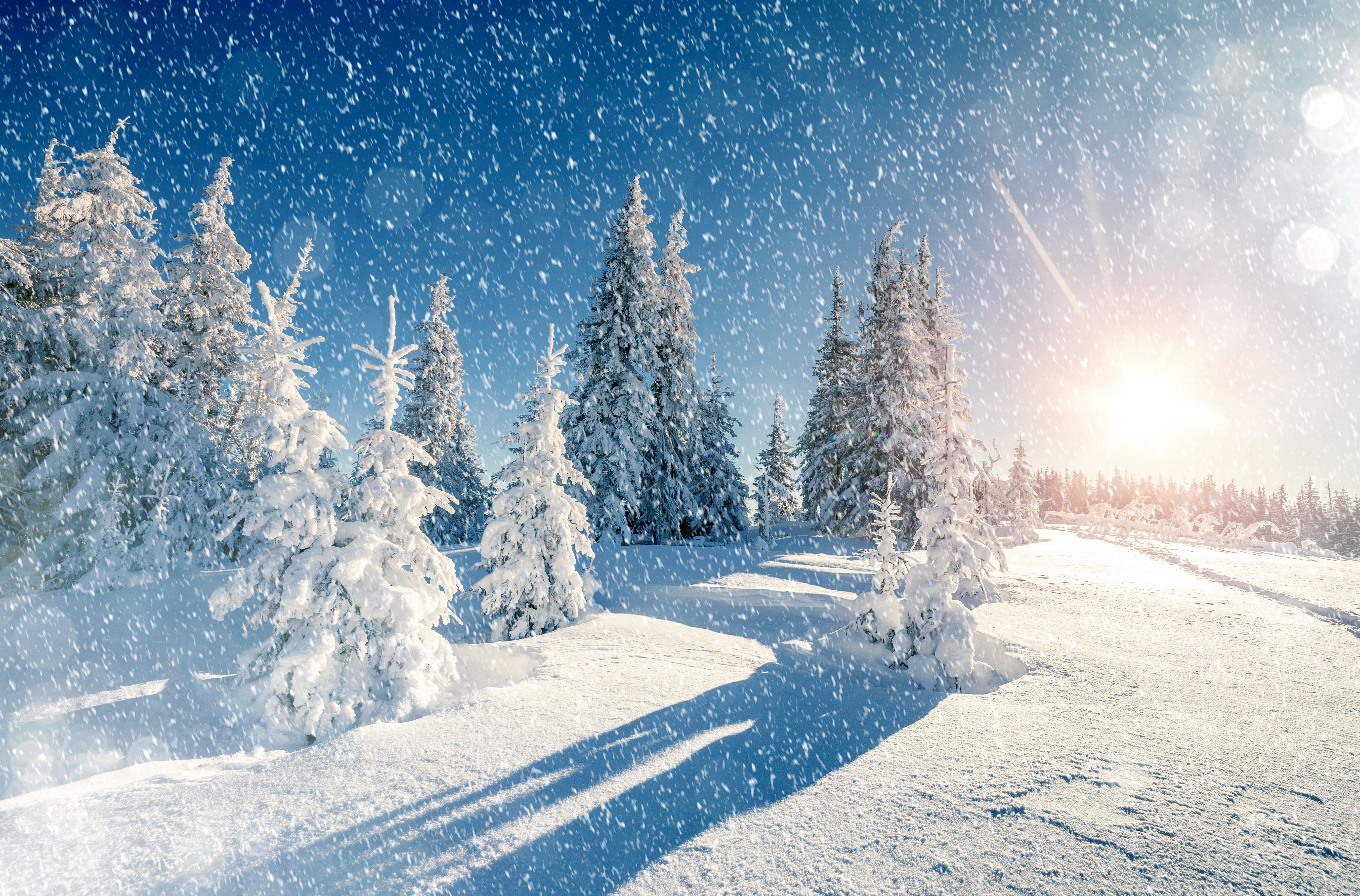 Paesaggio invernale innevato con abeti, 5472x3606 4K Ultra HD, Monitor 4K