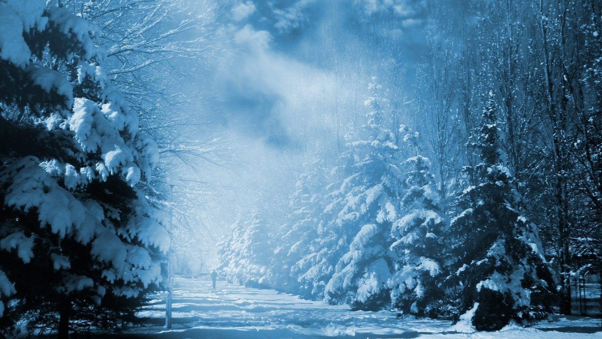 Foresta innevata astratta blu, 1920x1080 Full HD 1080p, Desktop