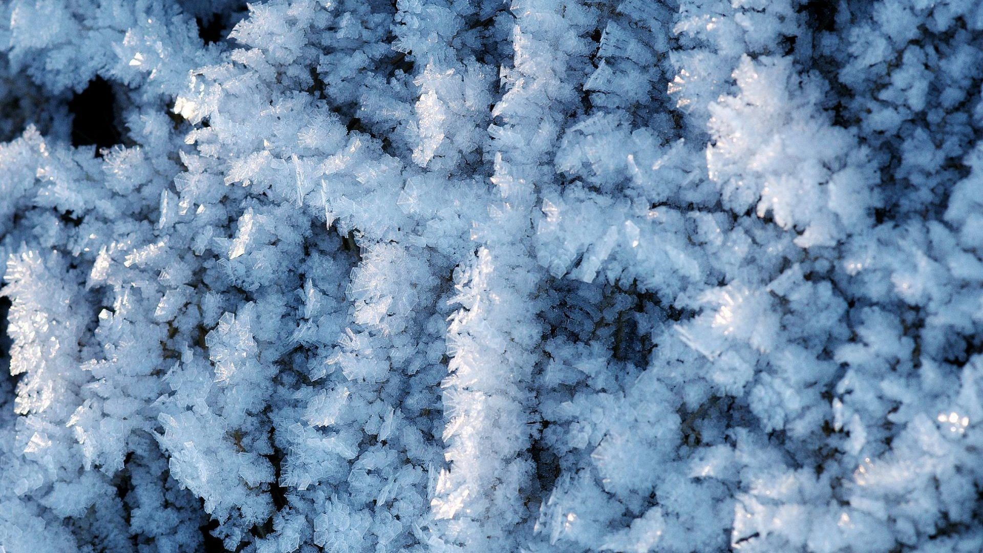 Rami invernali coperti di brina, 1920x1080 Full HD, Laptop